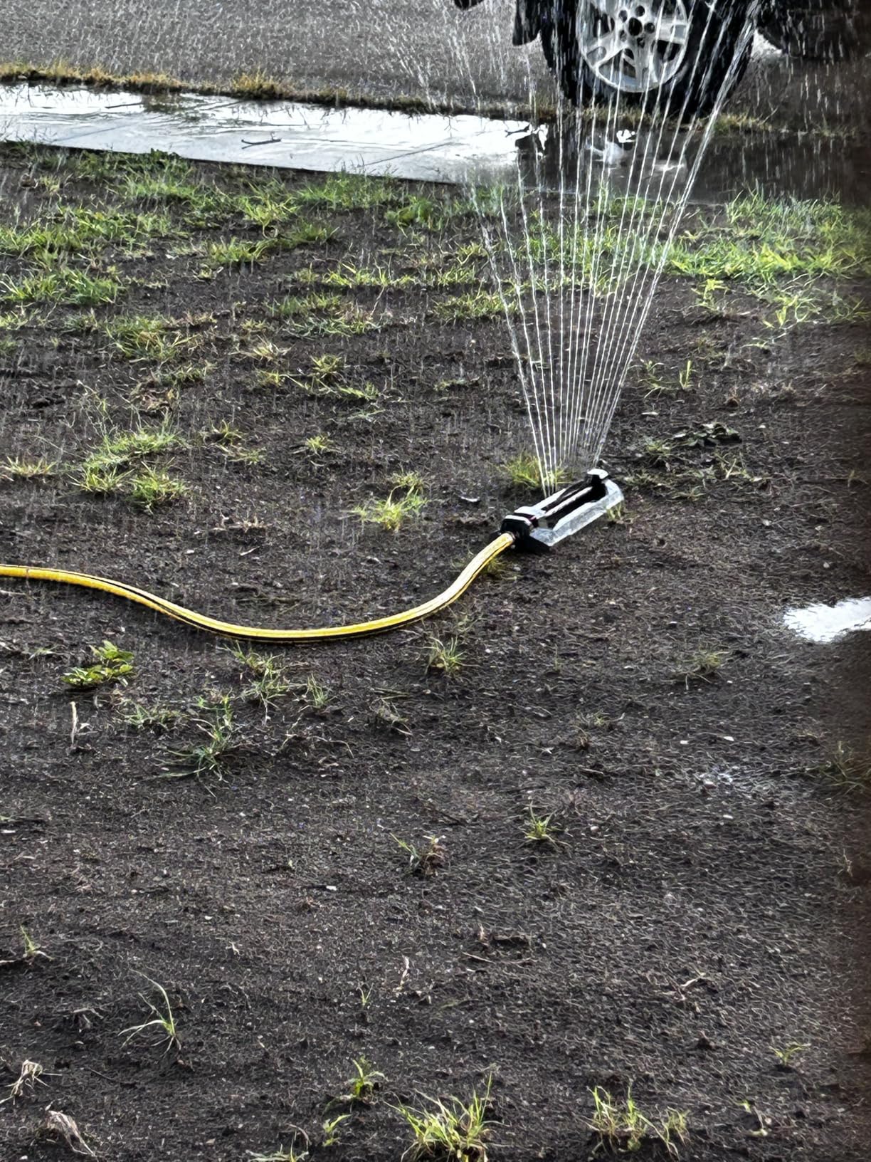 Eden 96213EDAMZ Weighted Essential Oscillating Sprinkler | Covers Up to 3,600 sq. ft., 16 Precision Nozzles, Adjustable Range, Turbo Drive Motor, Quick Connect Bundle customer photo 2