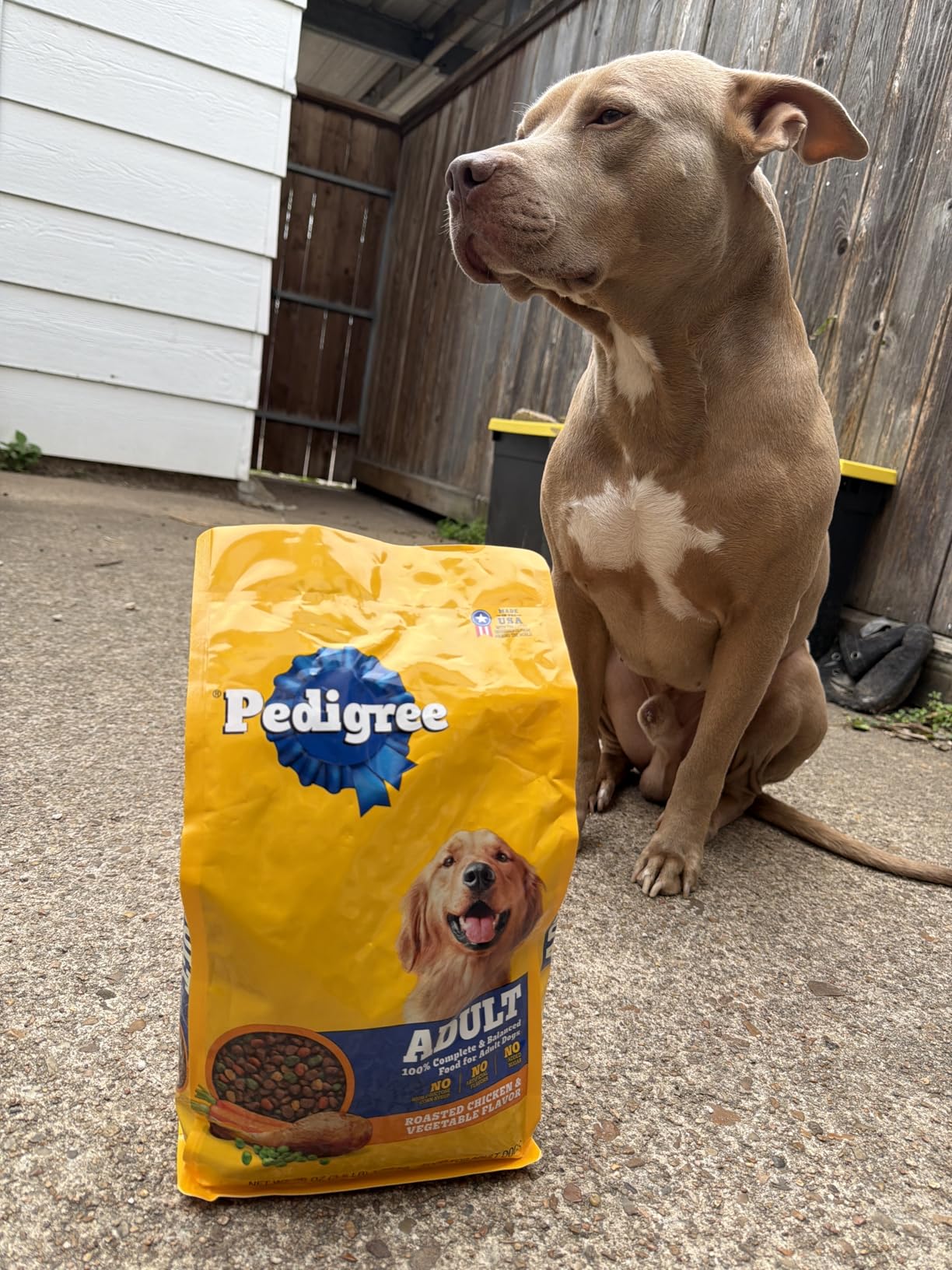 Pedigree Adult Dry Dog Food, Complete Nutrition, Roasted Chicken & Vegetable Flavor, 18 lb. Bag customer photo 1