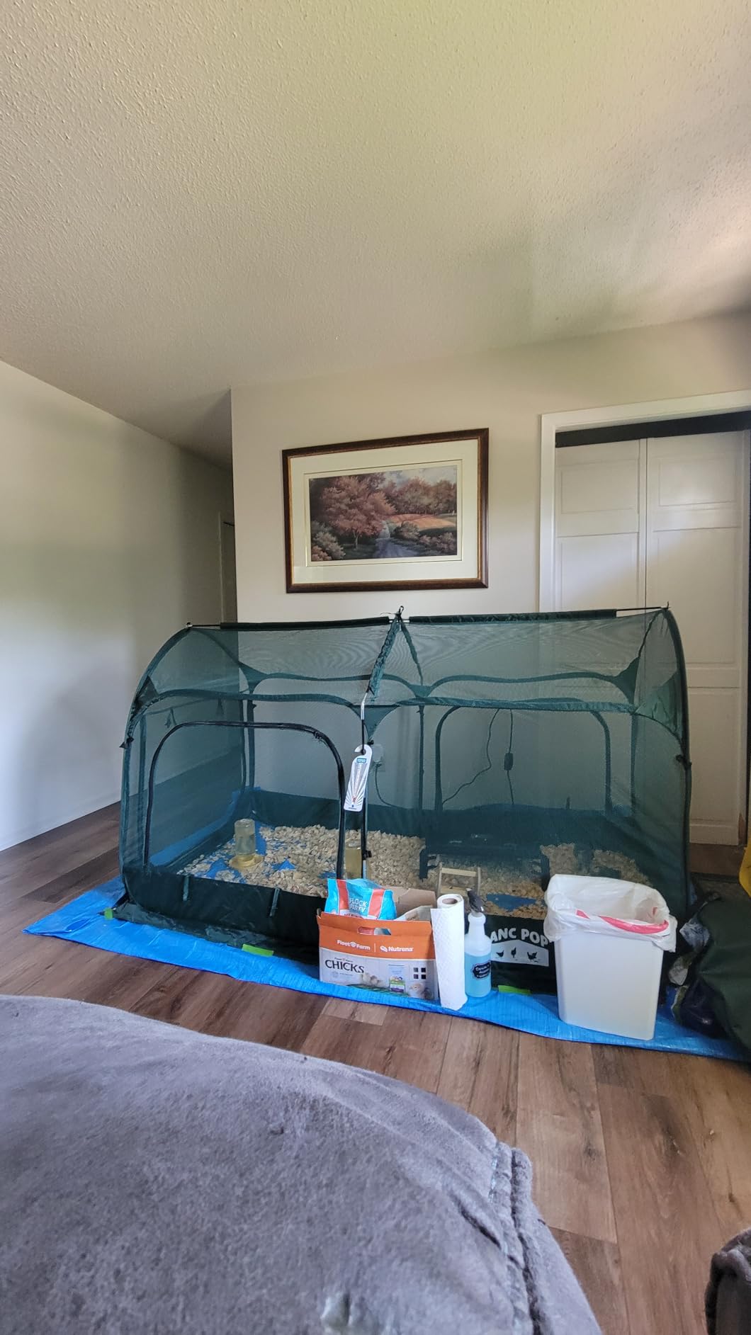 ANC POP Portable Chicken Run Large Pop-Up Chicken Pen for Small Animals Outdoor Gardening Net with 3 Doors and Handbag, Easy to Install and Storage, Green customer photo 2