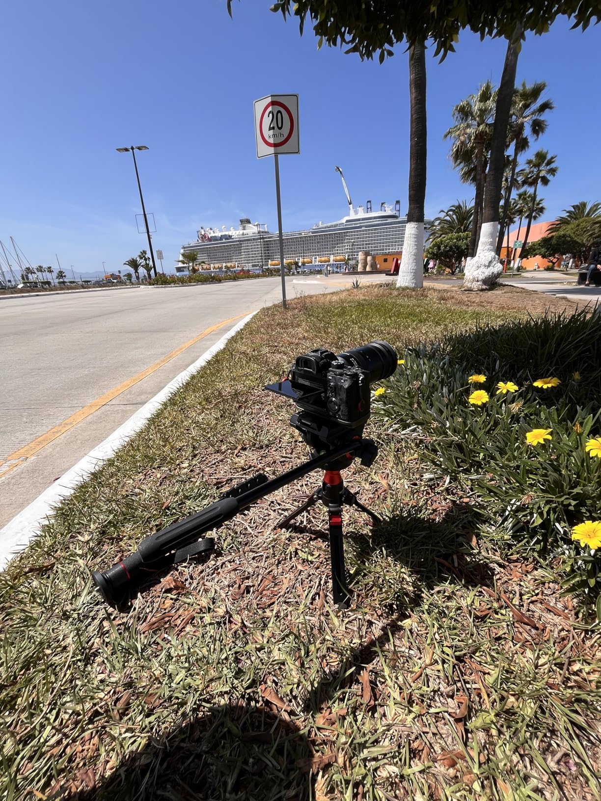 NEEWER Professional Camera Monopod with Feet 70.5