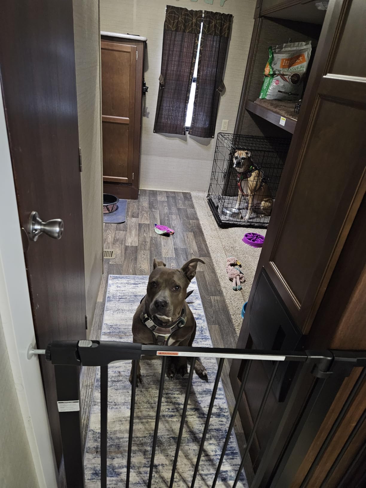 Mumeasy Baby Gate Extra Wide, 29.7-51'' Pressure Mounted Dog Gate with Walk Thru Door, Auto Close Pet Gate for House, Stairs, Doorways, Black customer photo 1