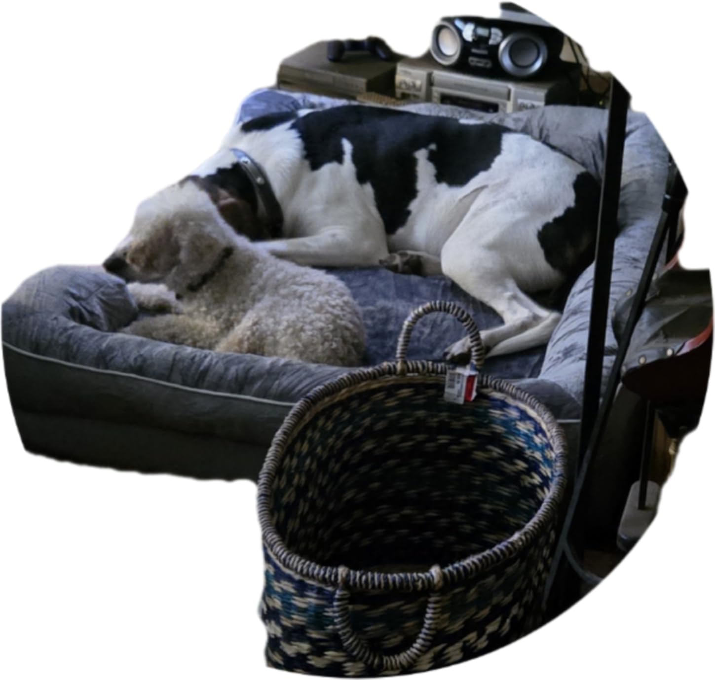 EHEYCIGA Orthopedic Dog Beds for Extra Large Dogs 44x32 Inch, Waterproof Memory Foam XL Pet Bed with Sides, Non-Slip and Egg-Crate Foam Big Dog Couch Bed with Washable Removable Cover, Grey customer photo 1