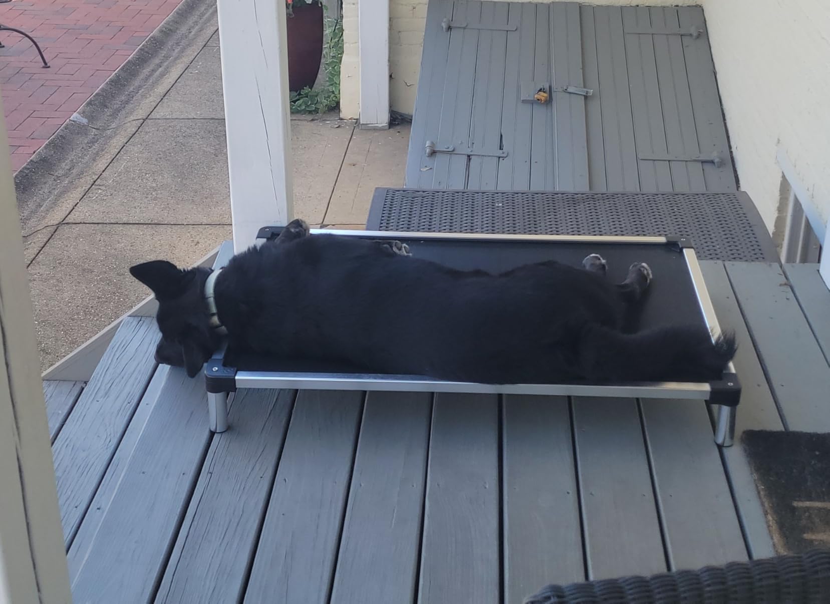 K9 Ballistics Chew Proof Elevated Outdoor Cooling Cot Bed for Medium Dogs - Virtually Indestructible, Preassembled, Withstands Aggressive Chewers - M, Ripstop Sandstone customer photo 2