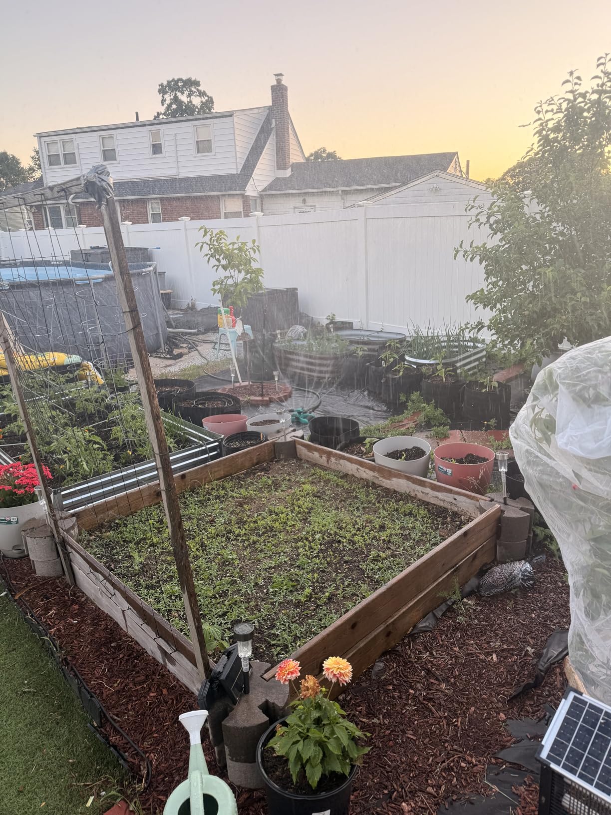 Joeys Sprinkler for Yard, Rotating Garden Sprinkler with 3 Adjustable Arms, Weighted Base, Expandable Connection customer photo 1