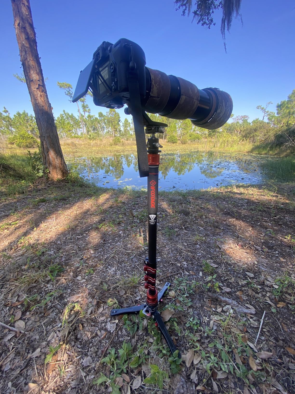IFOOTAGE Cobra 3 C180F-P 71