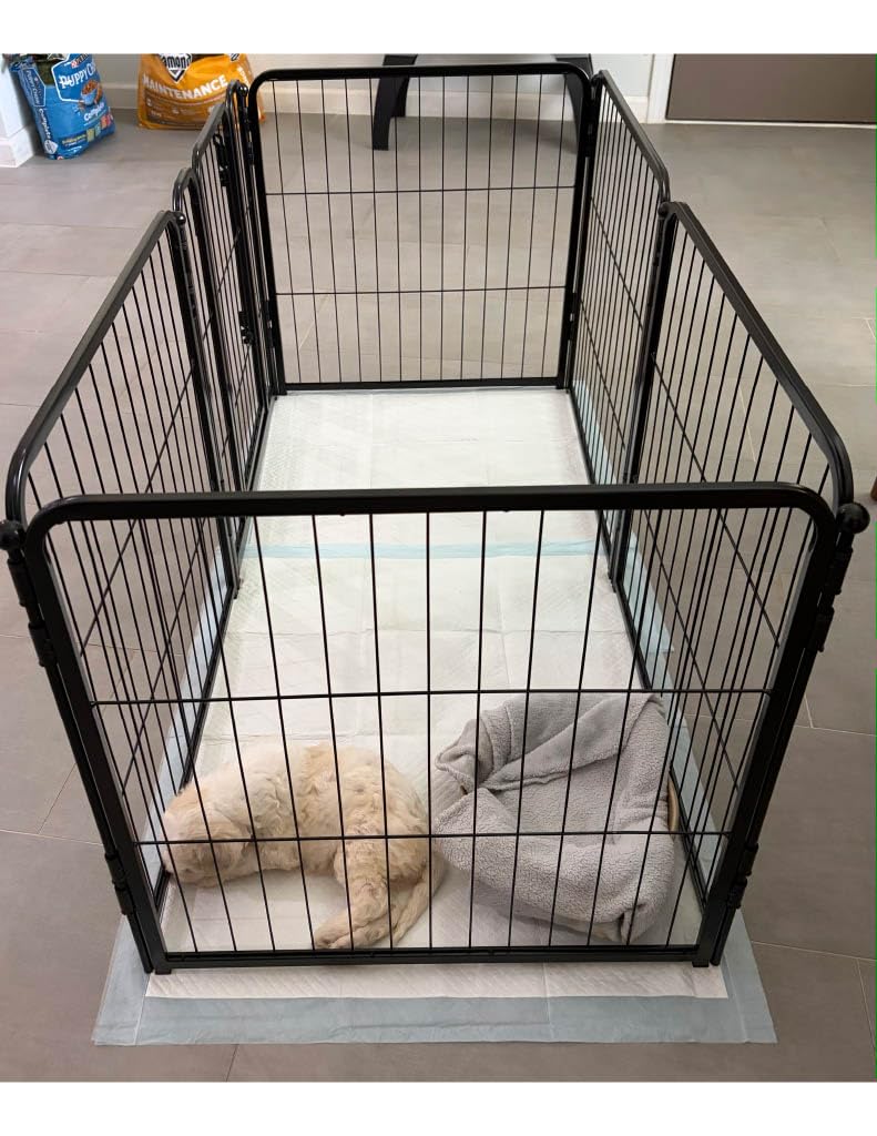 FXW Homeplus Unleashed Indoor Dog Playpen - Stress-Free and Safe Play, Heavy Duty 24 Inch 6 Panels Dog Pen for Puppy and Small Dogs, Black customer photo 2