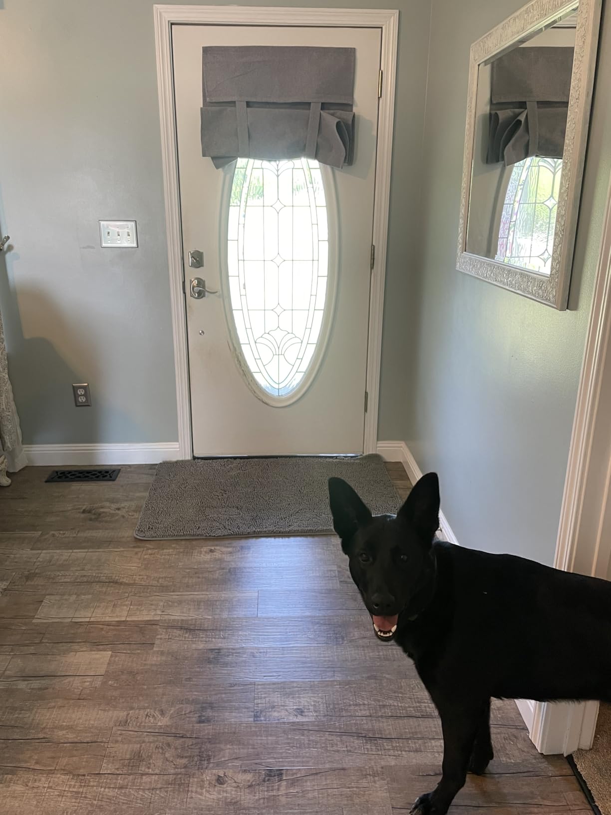 OLANLY Dog Door Mat for Muddy Paws 30x20, Absorbs Moisture and Dirt, Absorbent Non-Slip Washable Doormat, Quick Dry Chenille Mud Mat for Dogs, Entry Indoor Entryway Carpet for Inside Floor, Grey customer photo 1