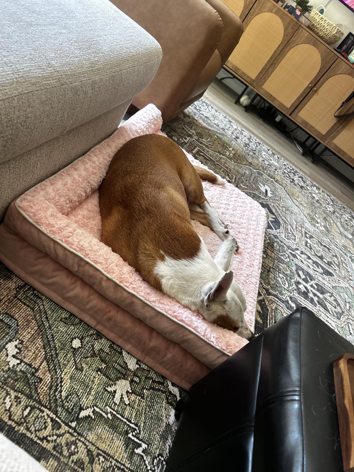 BFPETHOME Orthopedic Dog Beds for Large Dogs-Waterproof Sofa Dog Bed with Removable Washable Cover, Big Pet Bed with Waterproof Lining and Nonskid Bottom,Pet Bed for Large Dogs customer photo 1