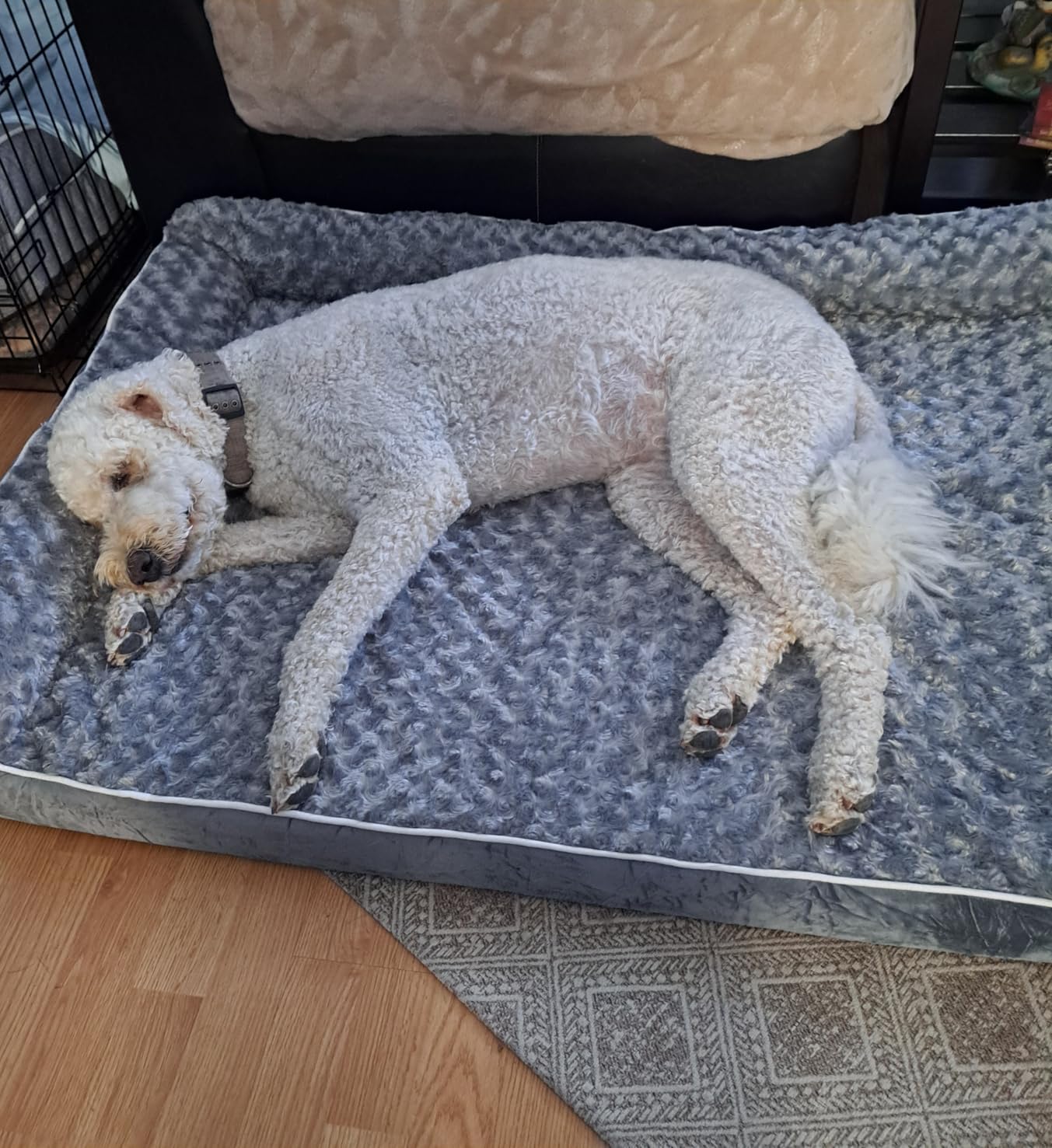 BFPETHOME Orthopedic Dog Beds for Large Dogs-Waterproof Sofa Dog Bed with Removable Washable Cover, Big Pet Bed with Waterproof Lining and Nonskid Bottom,Pet Bed for Large Dogs customer photo 2