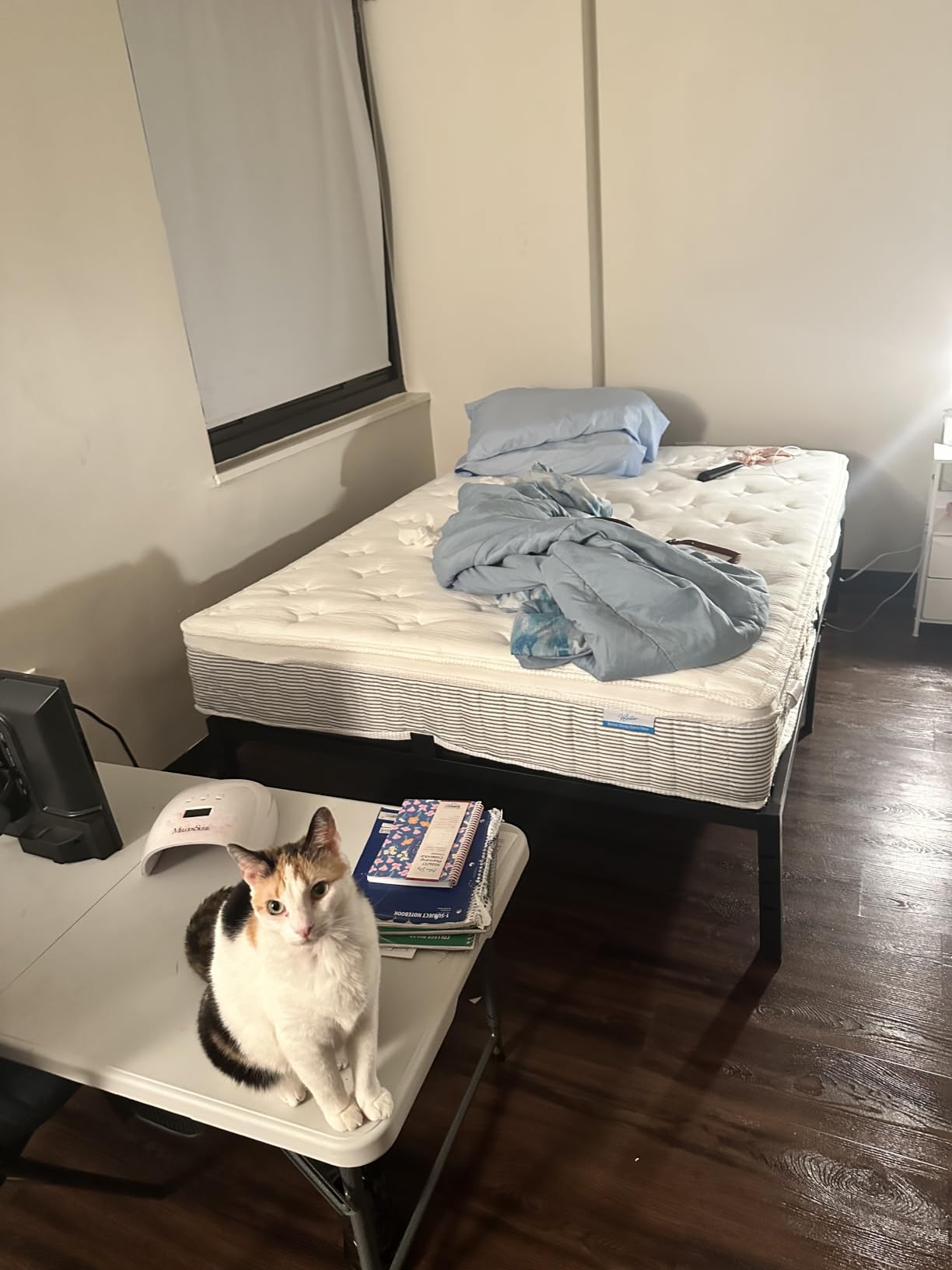ROIL 14 inch Metal Queen Bed Frame with Rounded Corner and Headboard Hole Mattress Retainers, 3500LBS Heavy Duty Steel Slats, No Box Spring Needed, Noise-Free Easy Assembly customer photo 2