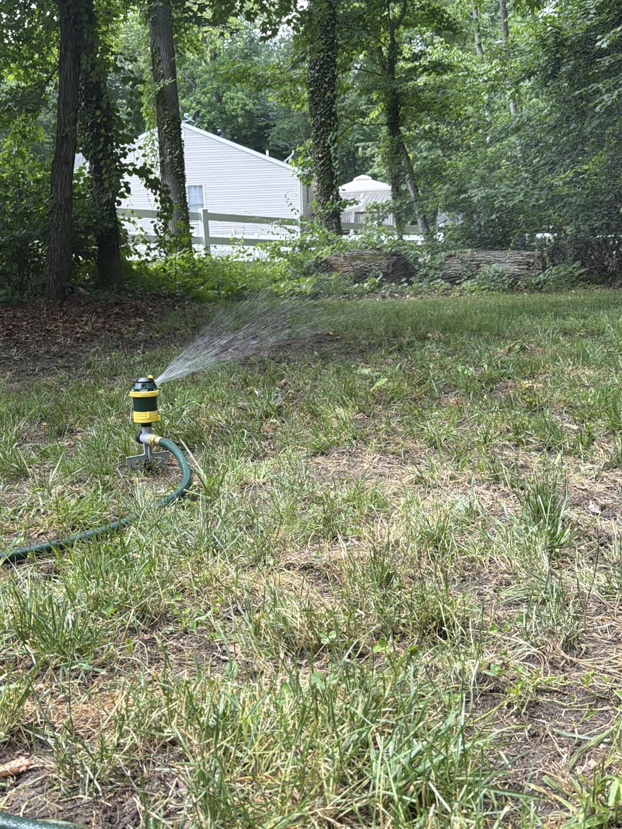 Melnor 65161AMZ Turbo Drive Rotary Sprinkler, Waters Up to 70 Ft. Diameter, 6 Spray Patterns, Adjustable 30 to 360 Coverage, Metal Spike Base customer photo 1
