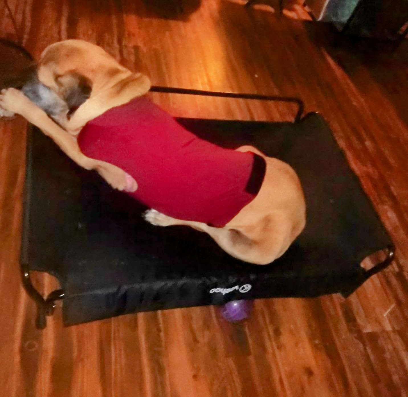 Veehoo Cooling Elevated Dog Bed, Raised Pet Cot with Guardrail & Slope Headrest, Durable & Breathable Teslin Mesh, Non-Slip Feet, Washable Dog Sofa Bed for Indoor & Outdoor, Large 47
