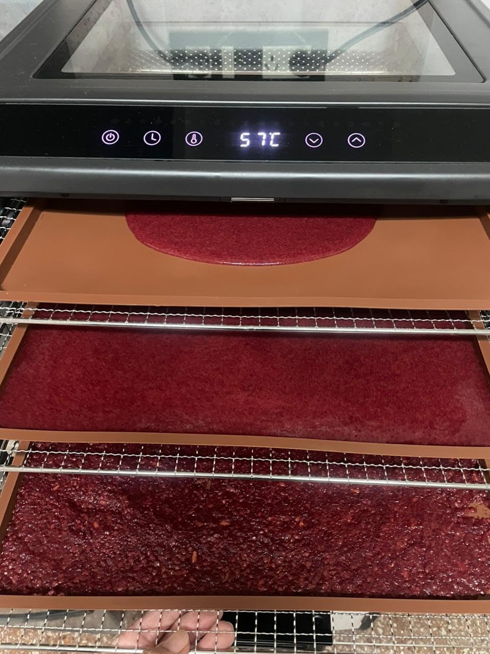 Electric Food Dehydrator Performance Series 10-Tray with Adjustable Temperature Control Includes Stainless Steel Drying Trays Glass Door Top View Window and LED Display Progress Bar, Black customer photo 1