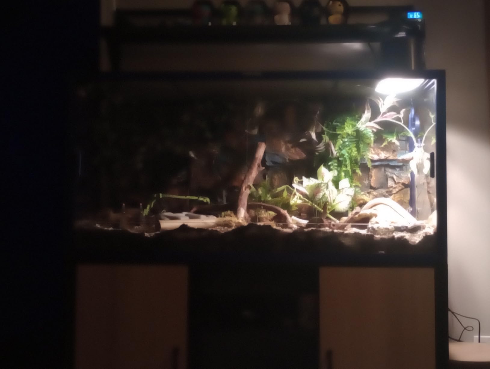 Stackable Reptile Enclosure, 85 Gallon Reptile Tank for Bearded Dragon, Snake, Ball Python, Colorful Aluminum Frame & Front Opening Tempered Glass Door with Handles for Easy Maintenance customer photo 1