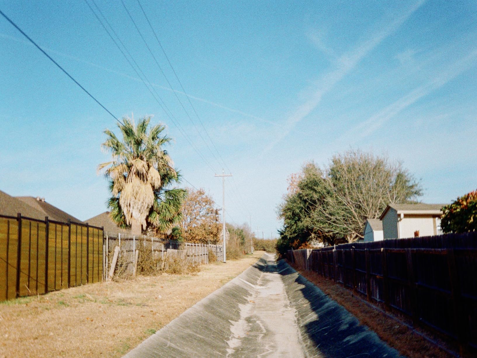 Kodak EKTAR H35N Half Frame Film Camera, Reusable, Focus-Free, Bulb Function, Built-in Star Filter (Striped Black) customer photo 2