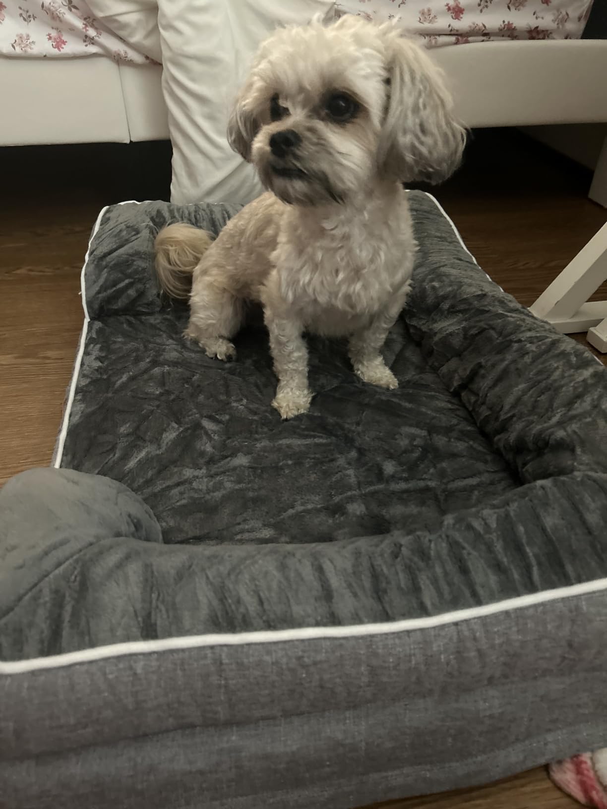 EHEYCIGA Orthopedic Dog Beds for Extra Large Dogs, Waterproof Memory Foam XL Pet Bed with Sides, Non-Slip Bottom and Egg-Crate Foam Big Dog Couch Bed with Washable Removable Cover, Beige customer photo 2