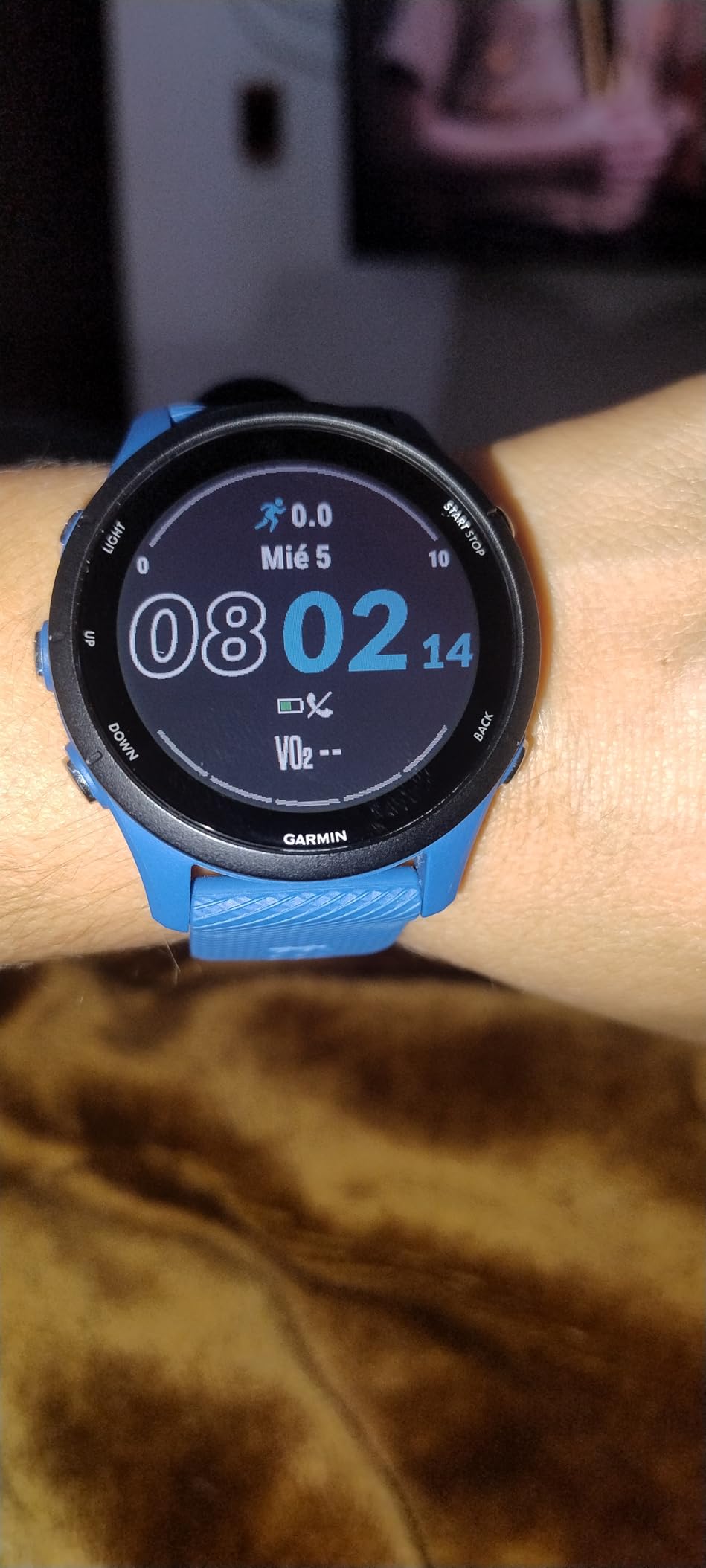 Garmin Forerunner 255, GPS Running Smartwatch, Advanced Insights, Long-Lasting Battery, Tidal Blue (Renewed) customer photo 1