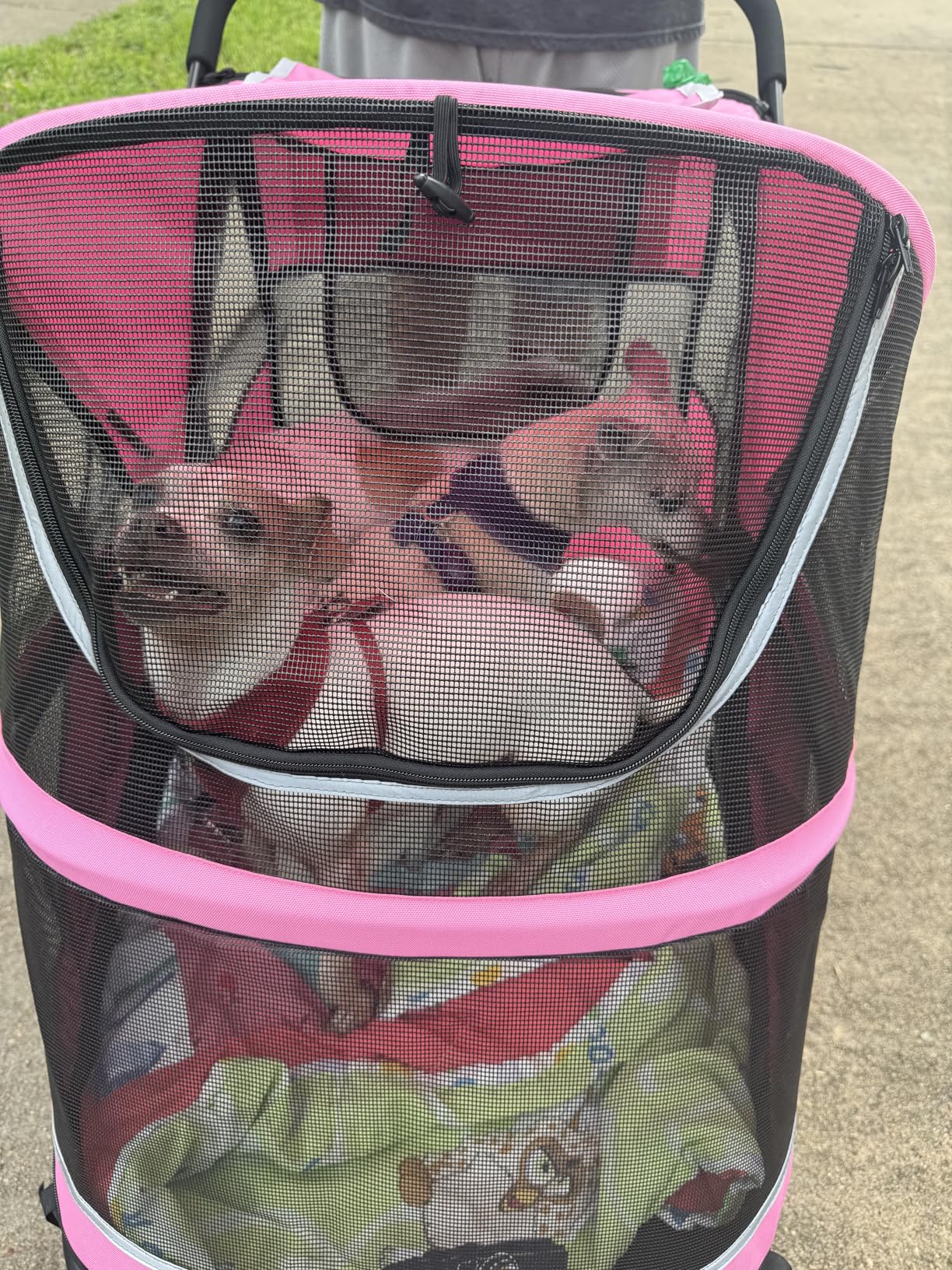 Petbobi Dog Stroller for Large & Medium Dogs - Easy Fold Dual Entry Pet Stroller with One-Foot Brake, All Terrain Wagon Cart with Air Mesh, Ideal for Large Senior Pets up to 80 lbs, Black customer photo 2