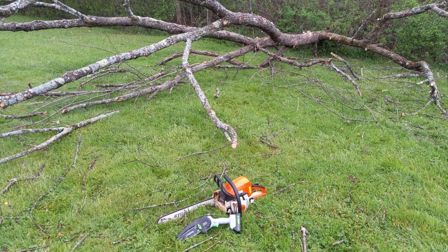 CEEPUY Mini Chainsaw Cordless, 6 Inch Portable Electric Chainsaw with 2 Batterys/Automatic Oiler/Security Lock/Powered Small Handheld Saw for Trees Branches Trimming, Gifts for Father Men Dad Husband customer photo 2