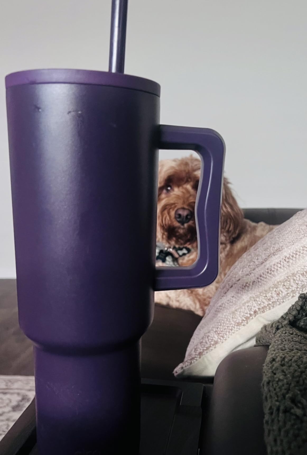 Simple Modern 40 oz Trek Tumbler with Handle and Straw Lid | Cup Holder Friendly Insulated Stainless Steel Travel Mug | 80s Mix customer photo 1