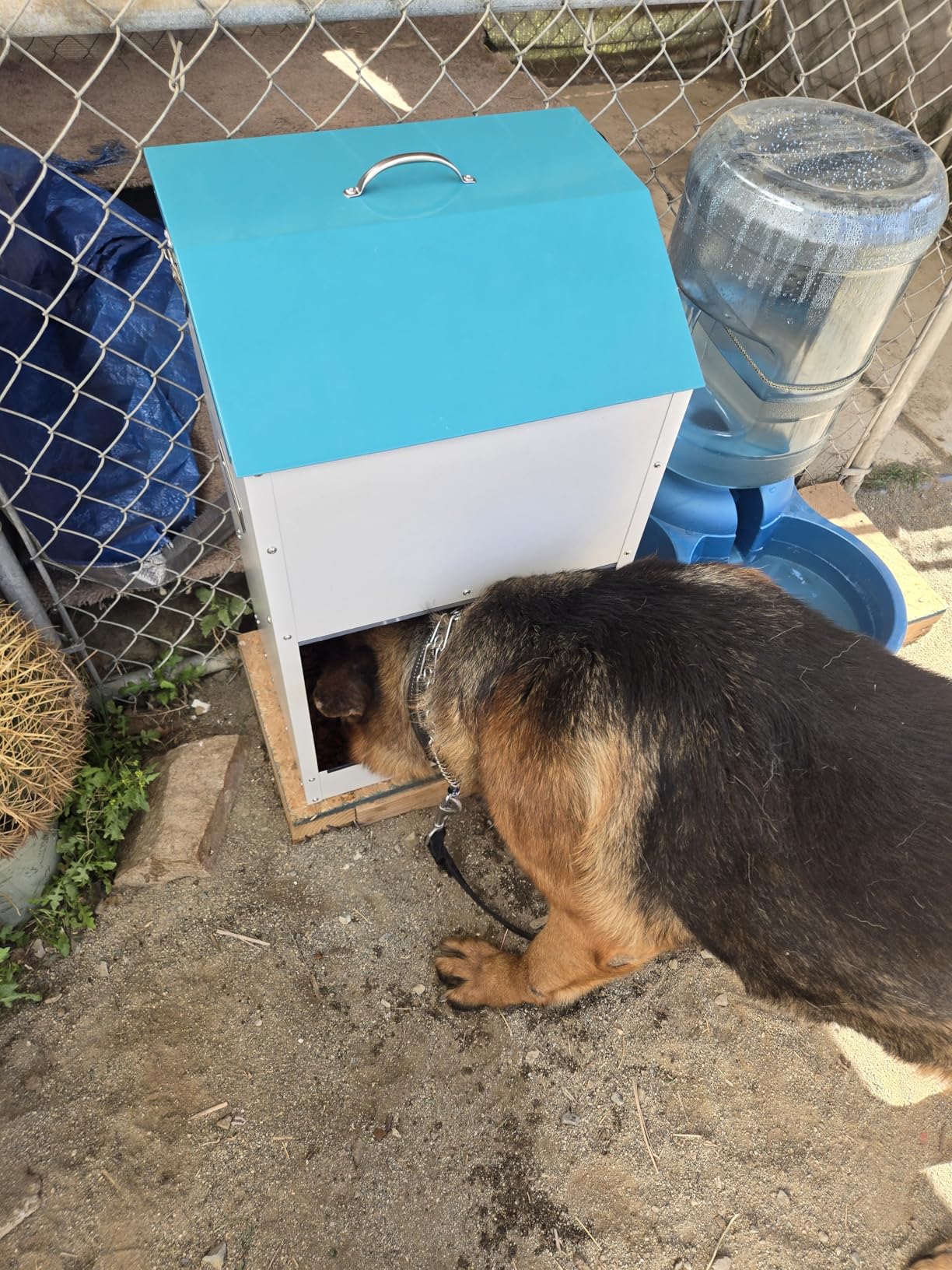 Galvanized Automatic Dog Feeder Large Breed Dog Food Dispenser for Large Dogs, 25lbs Outdoor Pets Feeder Gravity Food Feeder customer photo 2