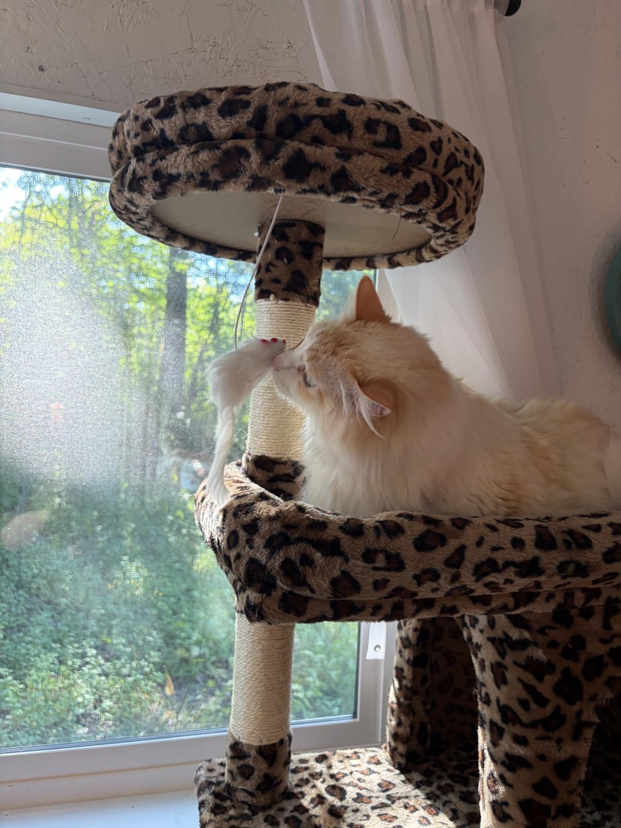 Globlazer Heavy Duty Cat Trees for Large Cats, Sturdy 72in Maine Coon Cat Tree for Large Cats 20 lbs+ Heavy Duty Cat Tower for Adult Biggest Cat with 6 Scratching Posts, Hammock, S72, Dark Gray customer photo 1
