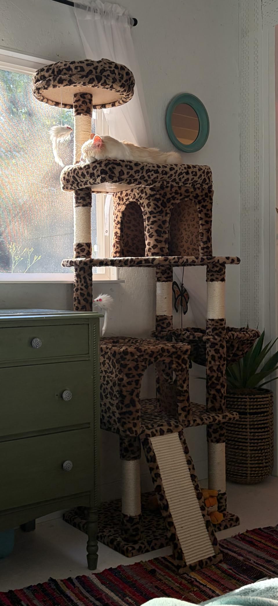 Globlazer Heavy Duty Cat Trees for Large Cats, Sturdy 72in Maine Coon Cat Tree for Large Cats 20 lbs+ Heavy Duty Cat Tower for Adult Biggest Cat with 6 Scratching Posts, Hammock, S72, Dark Gray customer photo 2