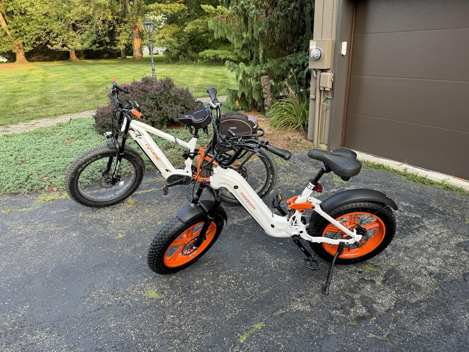 PUCKIPUPPY Electric Bike Mountain Ebike 20'' Fat Tire 7 Speed for Adults | 960W, 48V 20Ah Battery, Full Suspension, 28MPH, 80Miles Range, LCD Display customer photo 1