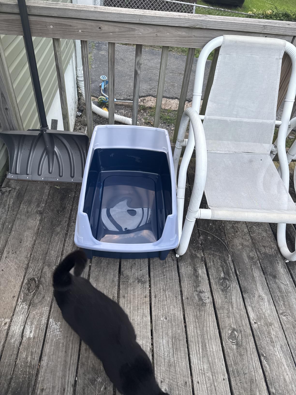 IRIS USA Extra Large Litter Box XXL Open Top High Sided Walls Scatter Shield Scoop Included Easy Clean Plastic Pan for Big Cats Multi-Cat Households 30