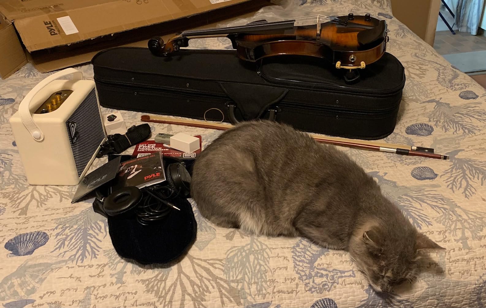 Pyle 4/4 Silent Electric Violin with Amplifier Kit, Solid Wood Fiddle with 10W Amp and Complete Accessories customer photo 1