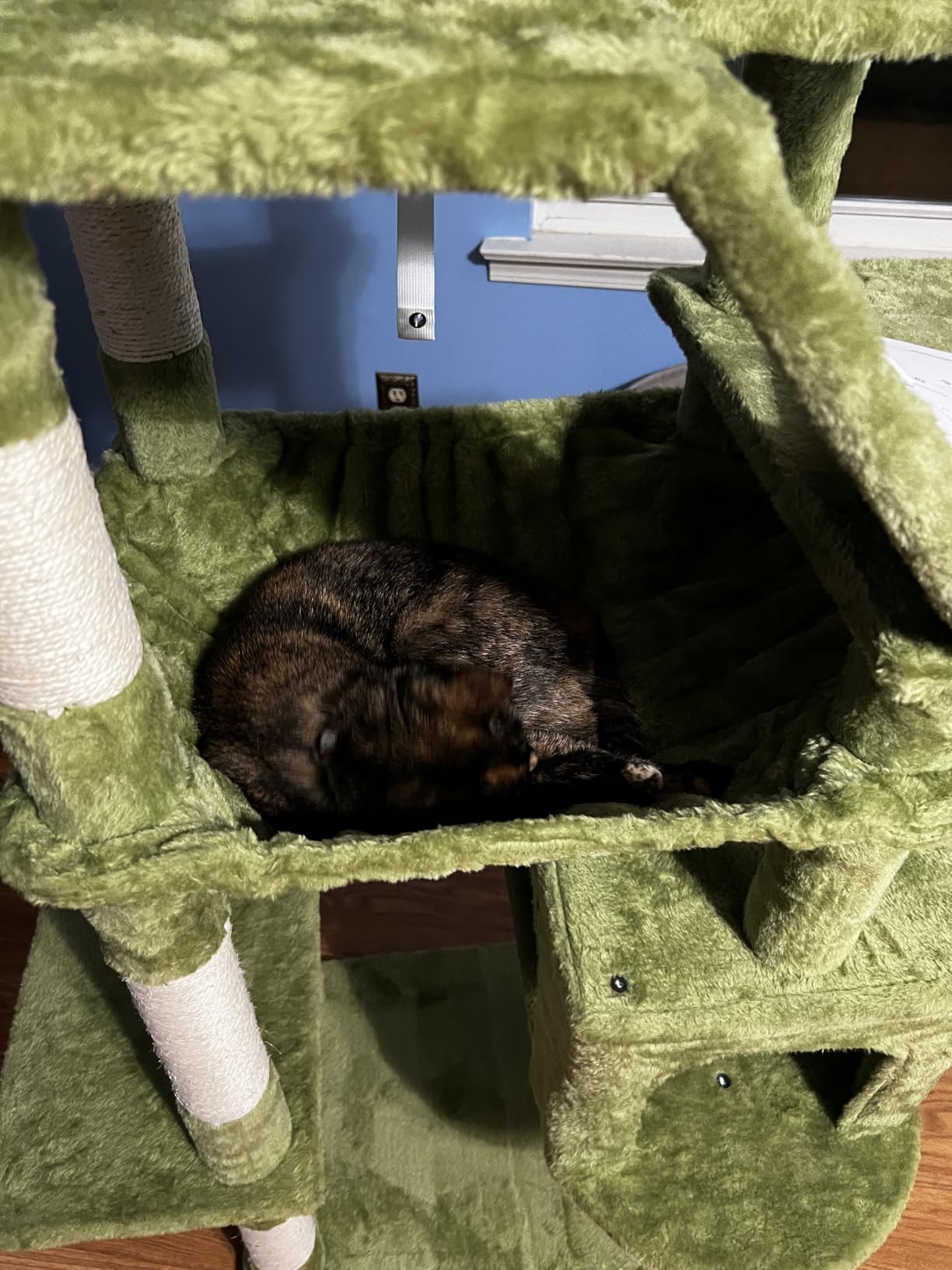 Heybly Cat Tree, 71-Inch-Tall Tower for Indoor Cats with 2 Perches, 2 Big Condos, 2 Hammocks, Basket, Scratching Pad, Large Cat Furniture and Condo, Smoky Gray HCT034G customer photo 2