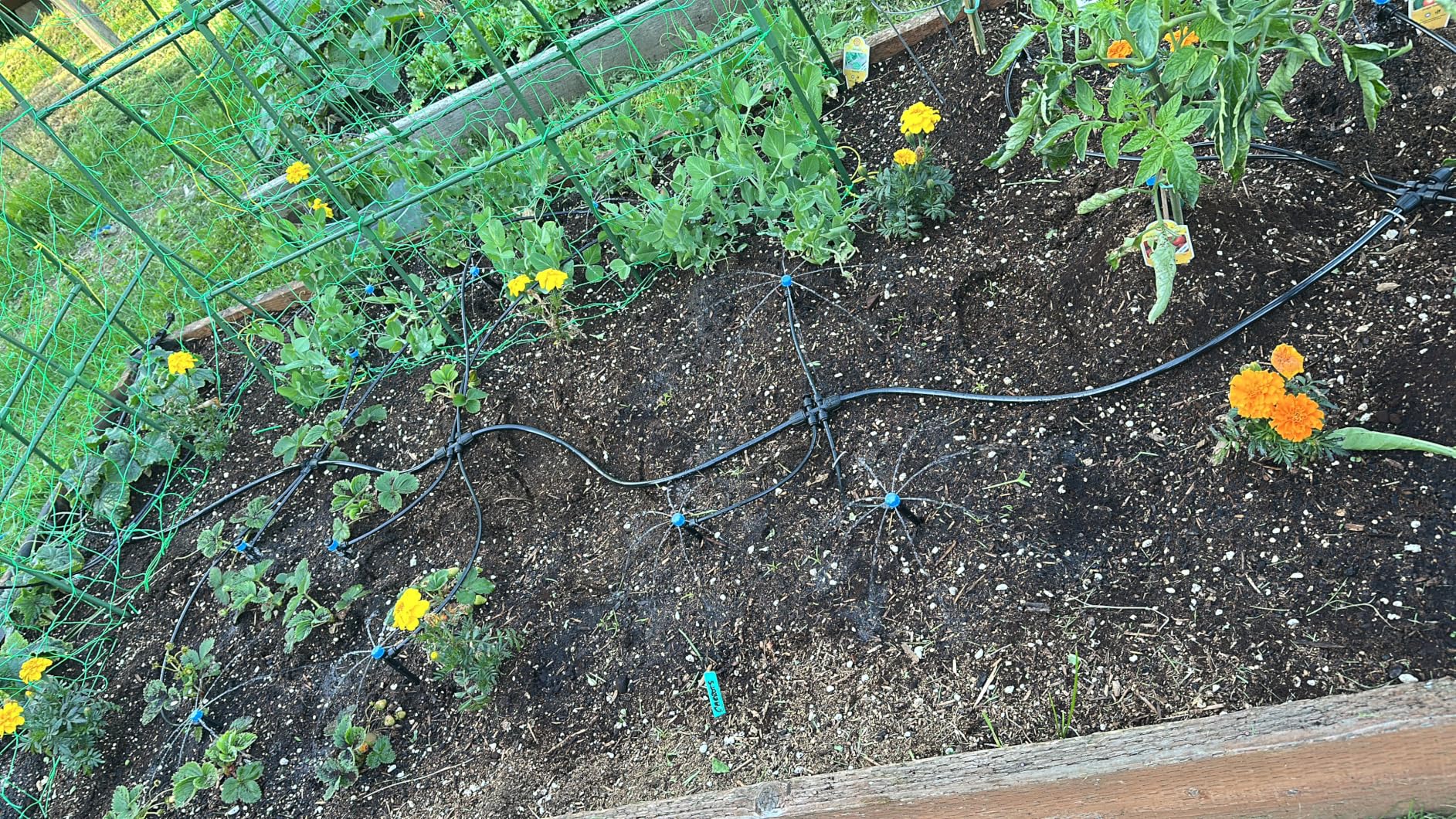 Bonviee Drip Irrigation System Kit for Garden Watering, 230FT Quick Connect | For Garden, Raised Beds, Greenhouses, with 33FT 5/16