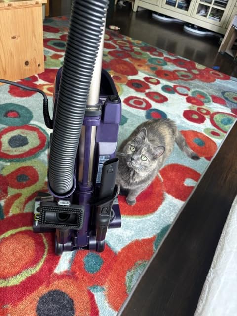 Shark POWERDETECT Upright Vacuum AZ4002 with DuoClean Technology customer photo 2
