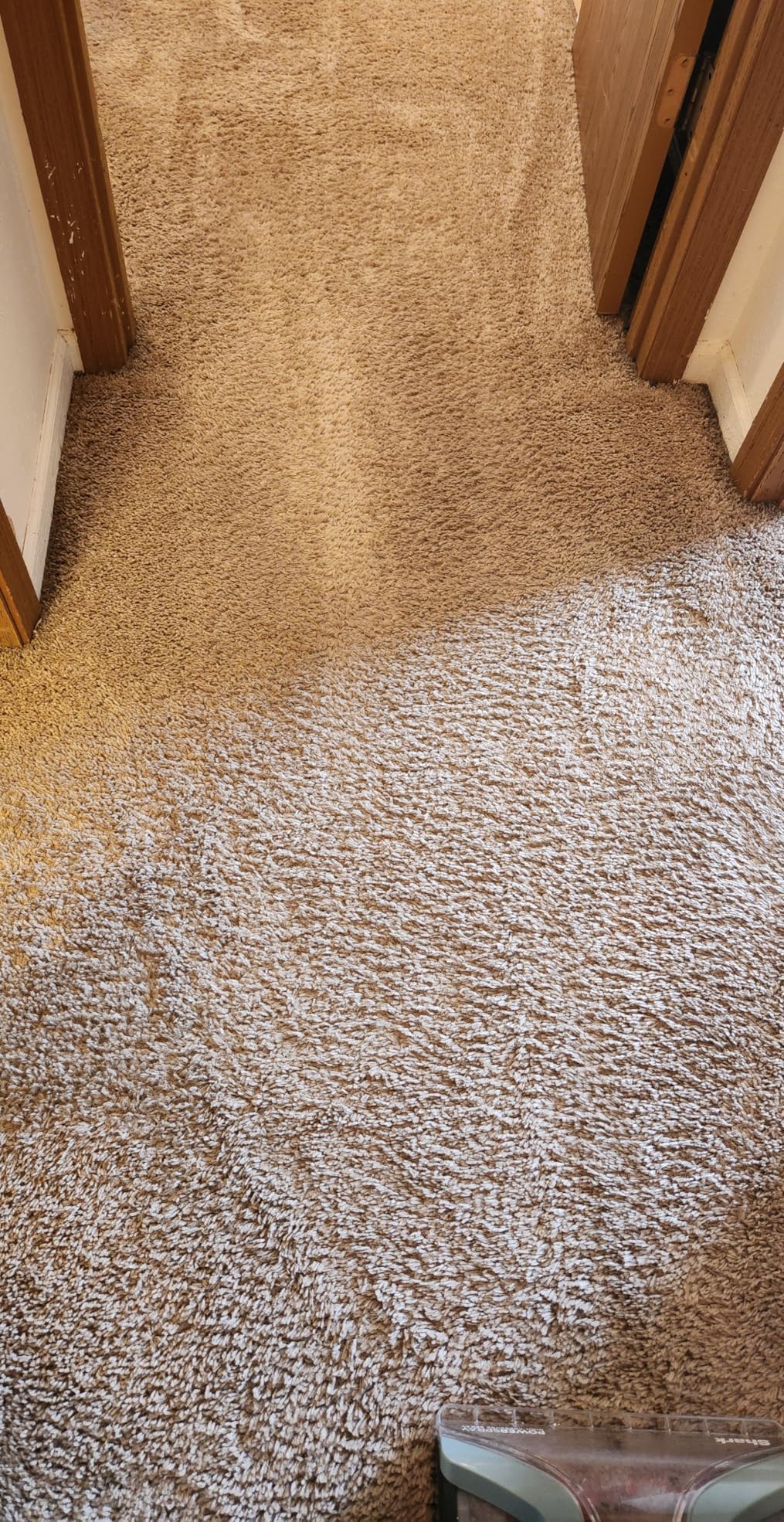 Shark CarpetXpert Upright Carpet, Area Rug & Upholstery Cleaner with Handheld Spot & Stain Eliminator, 3 Cleaning Tools, EX151 customer photo 2