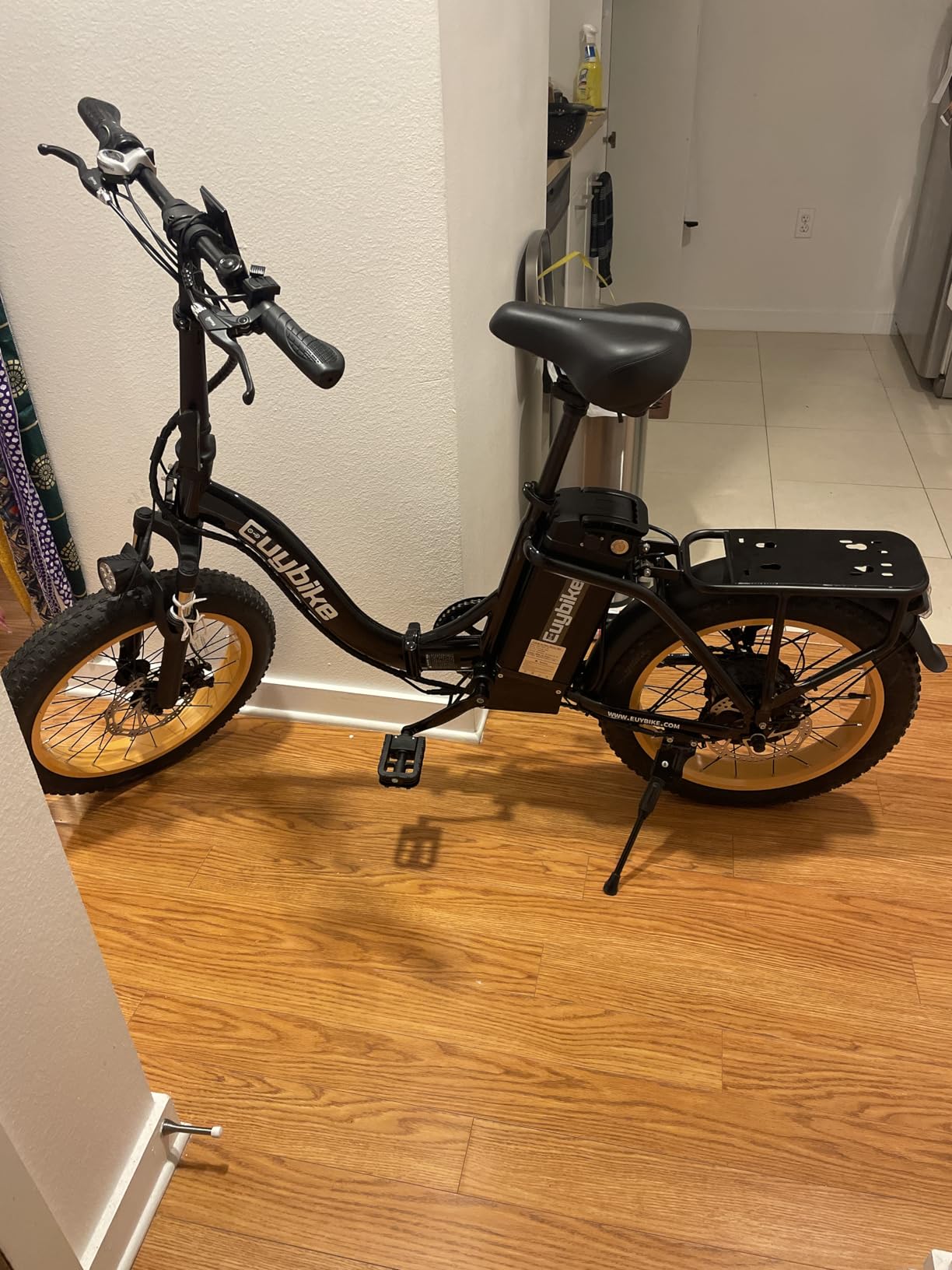 bluebiko 1000W Folding Electric Bike, 48V 20AH Removable Battery E Bike, 70 Miles Max Range, 20