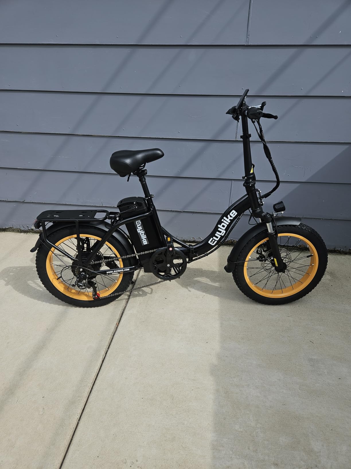 bluebiko 1000W Folding Electric Bike, 48V 20AH Removable Battery E Bike, 70 Miles Max Range, 20