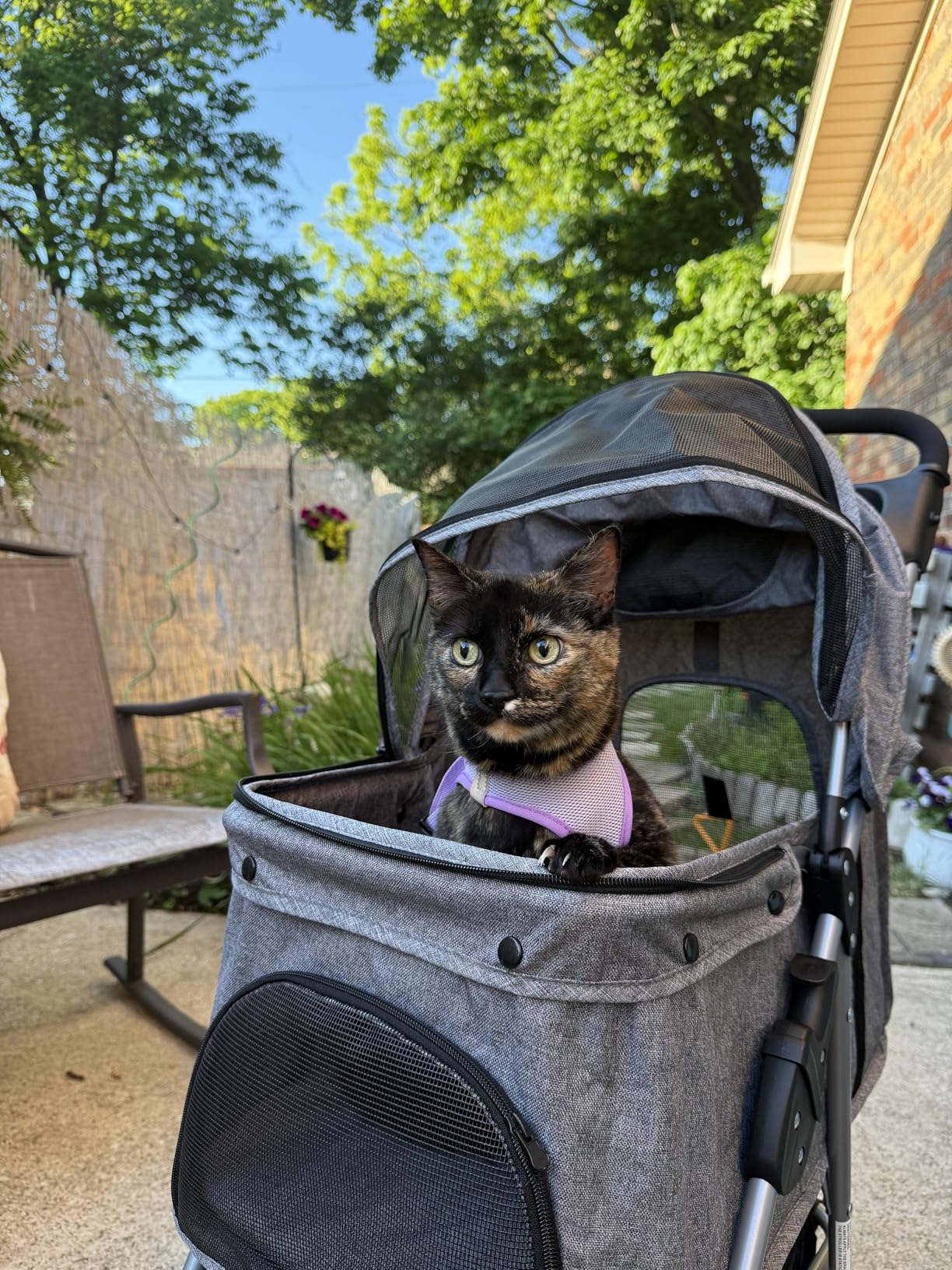 ZENY Foldable Pet Stroller, Cat/Dog Stroller with 4 Wheel, Pet Travel Carrier Strolling Cart with Storage Basket, Cup Holder (Pink) customer photo 2