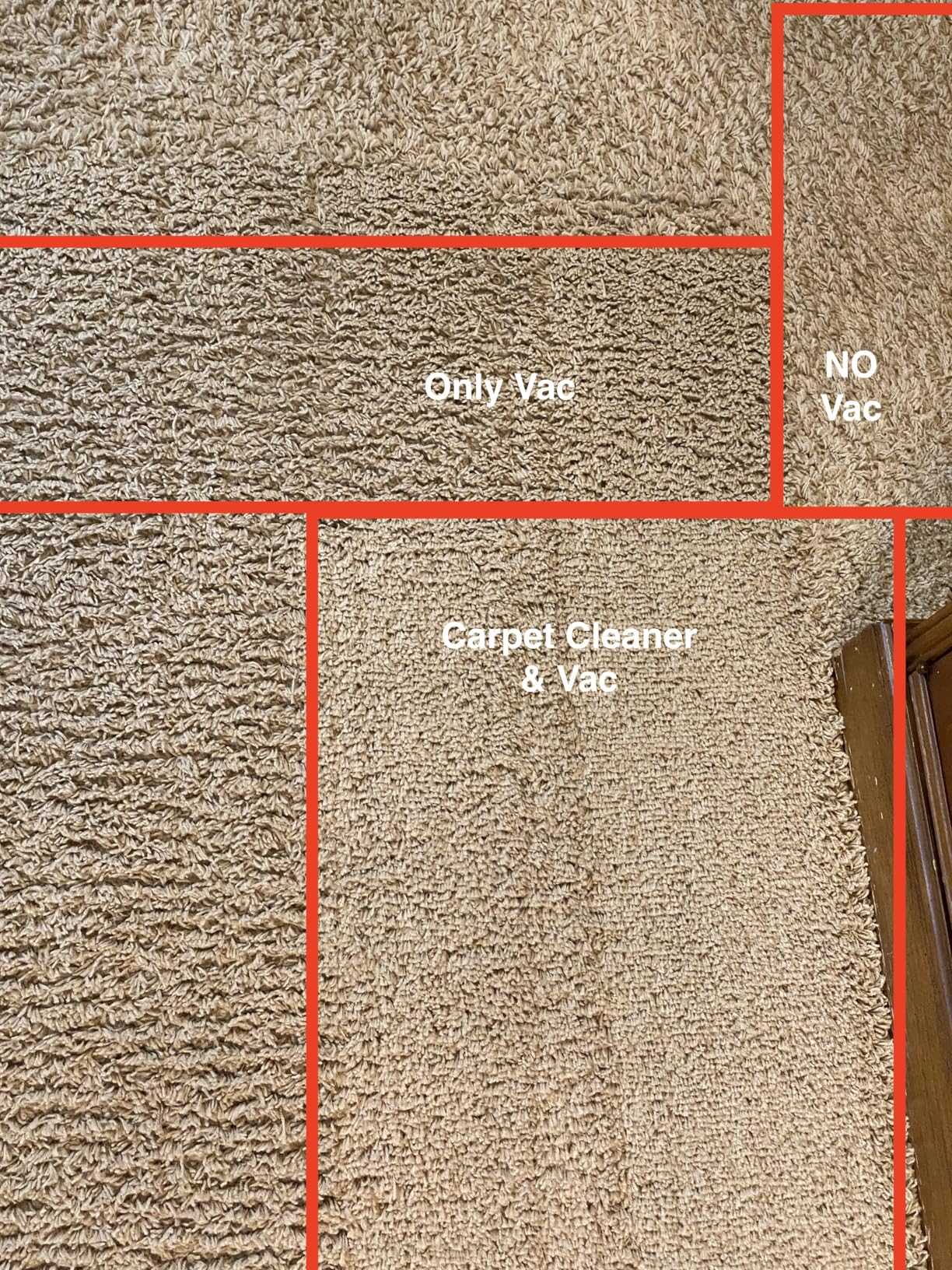 Tineco CARPET ONE Cruiser Smart Carpet Cleaner, Self-Cleaning and FlashDry, Deep Cleaning for Pet, Carpet and Upholstery, 167℉ PowerDry, 130W Powerful suction SmoothPower customer photo 1