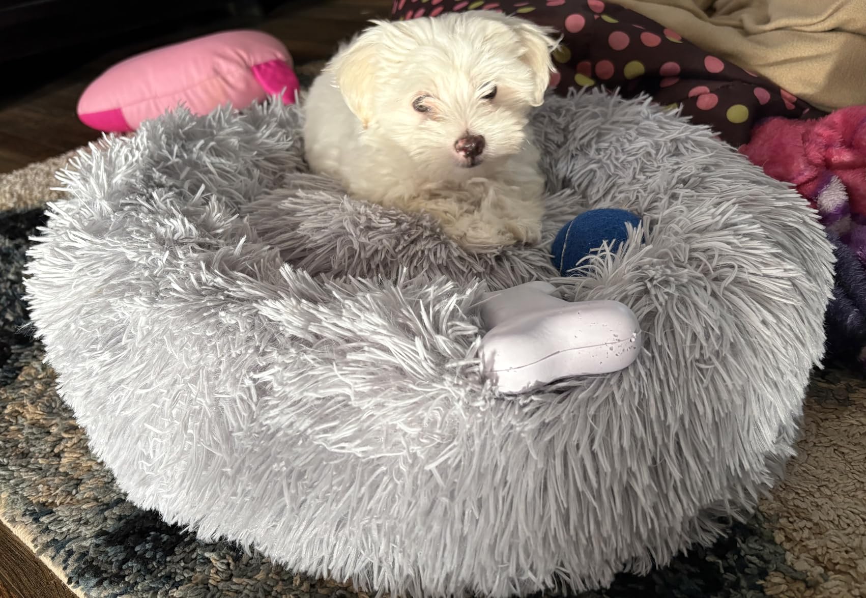 Hoewina Dog & Cat Bed for Indoor Cats, 20in Calming Donut Bed for Puppy and Kitten, Washable Round Fluffy Pet Bed for Small Medium Dogs and Cats (Light Grey) customer photo 2