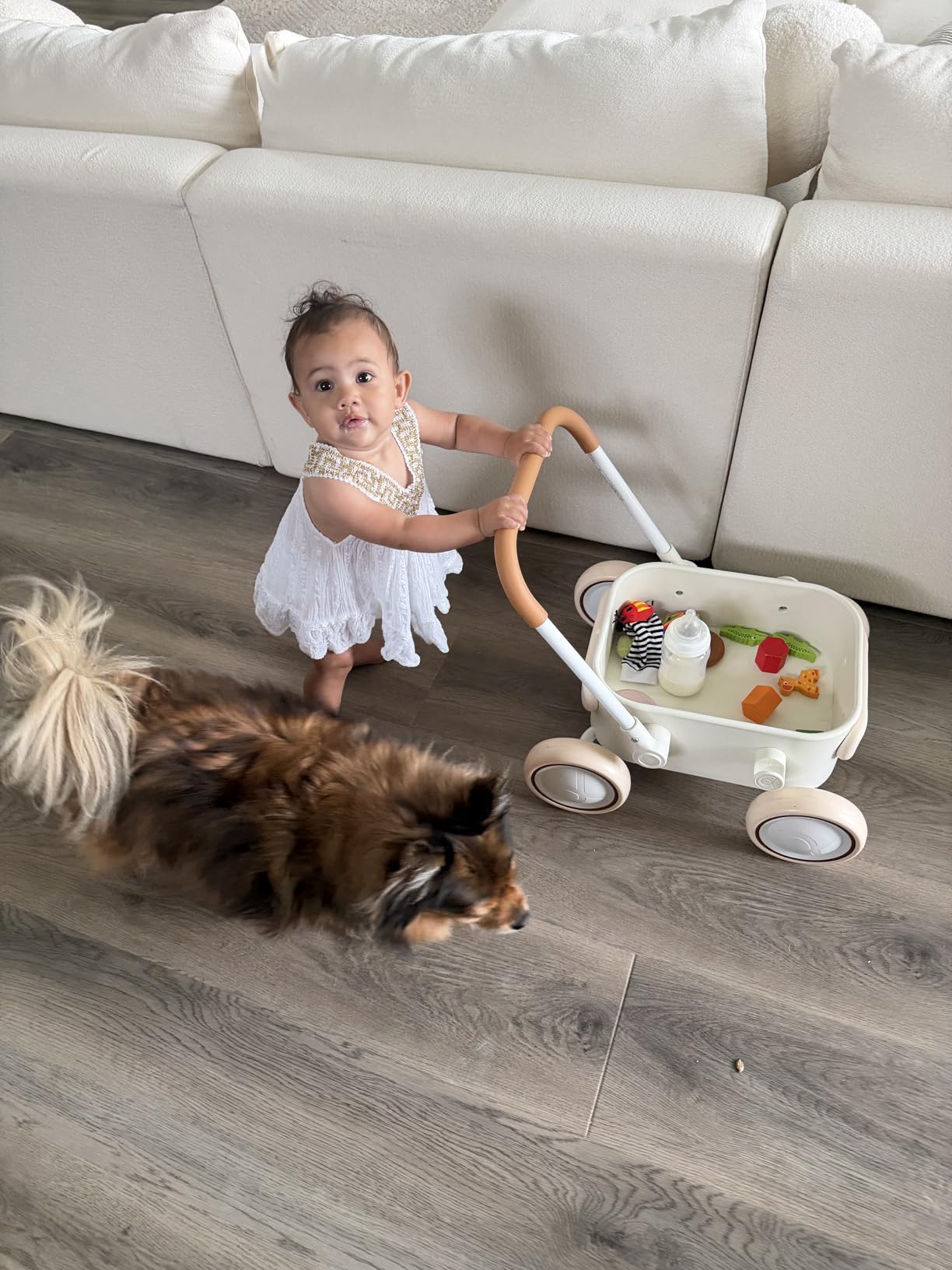 PULA Baby Push Walker with Wheels Toddler Wagon for First Learner Baby Toys 6-12 Months, 1 Year Old Birthday Gifts, Indoors and Outdoors (Green) customer photo 1