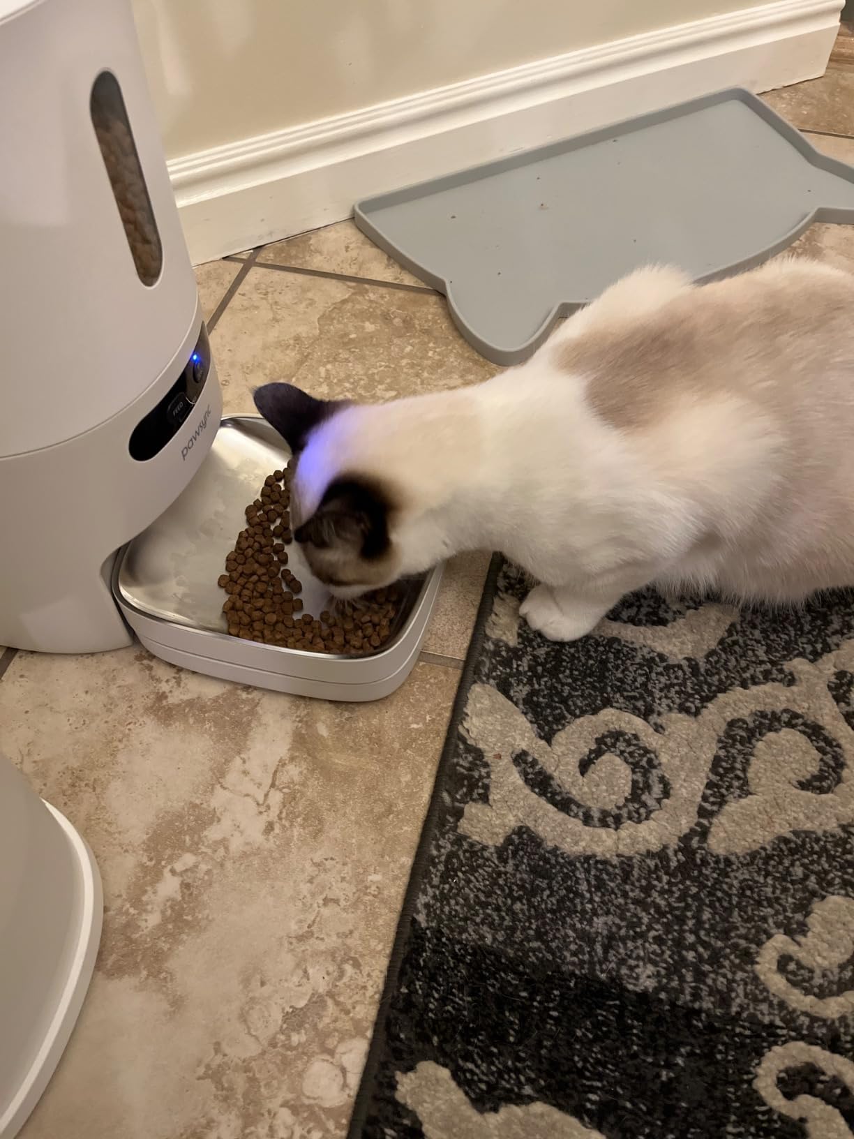 Pawsync Automatic Cat Feeder, WiFi Smart Scale Tracks Pet's Food Intake, App Control, 3.6L Timed Food Dispenser for Cats and Dogs, Up to 10 Meals Per Day, Stainless Steel Bowl, Dual Power Supply customer photo 2