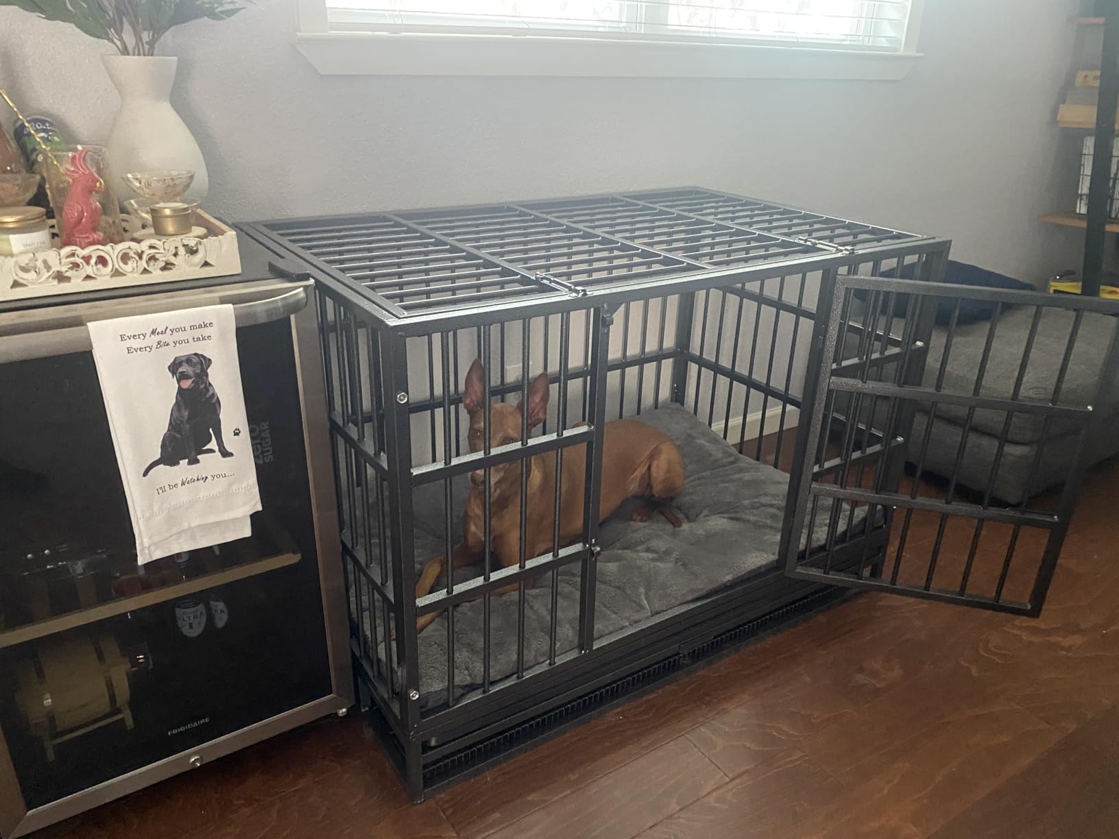 Oranland 48 Inch Heavy Duty Indestructible Dog Crate, Escape-Proof Dog Cage for High Anxiety Dogs, XL Dog Crate for Large Dogs with Sturdy Locks, Double Door, Removable Wire Tray and Wheels customer photo 2