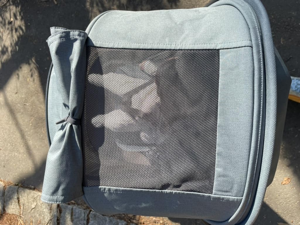 UPPAbaby Minu V3 Travel Stroller - Lightweight + Compact Design - One-Hand Fold + Unfold - from Birth + Overhead Compatible - Greyson (Charcoal Melange/Carbon Frame/Saddle Leather) customer photo 2