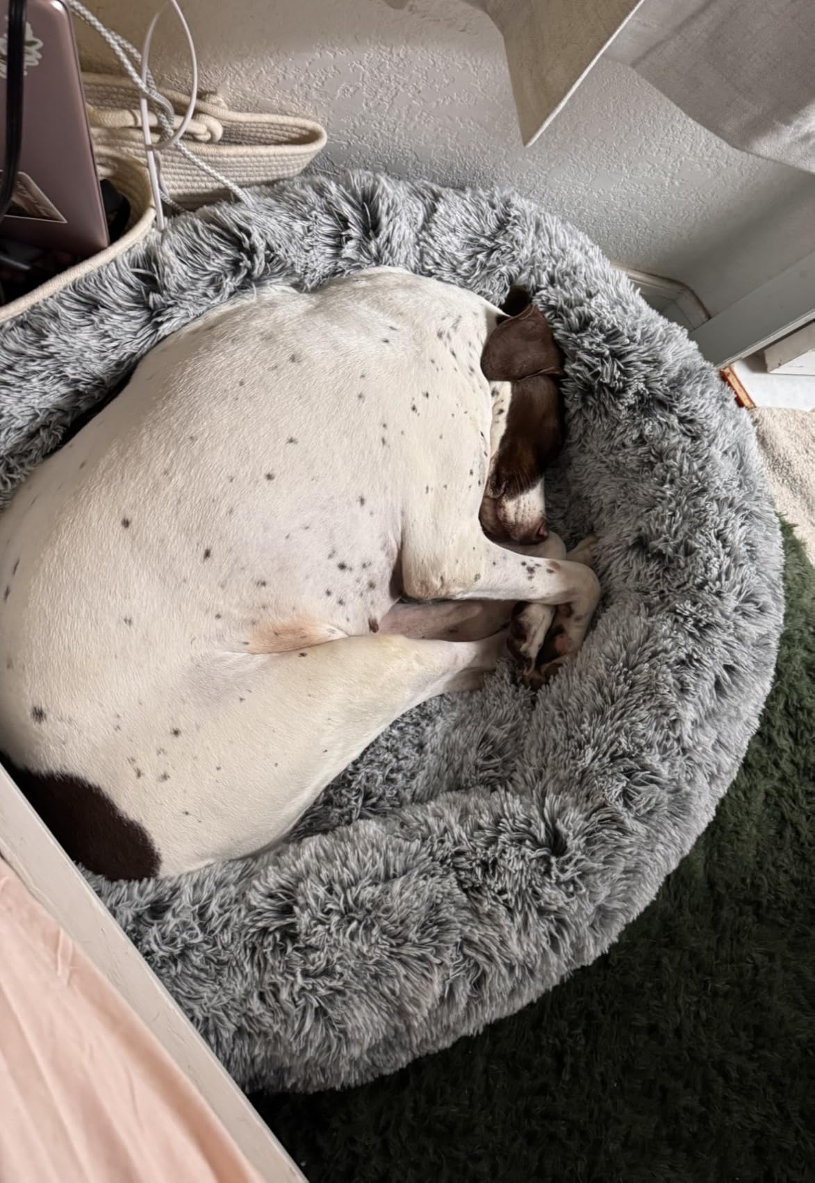 36 inches Donut Dog Bed for Large Dogs - Calming Fluffy Round Pet Bed with Removable & Washable Cover,Fits up to 80 lbs Pets (Dark Grey,Large) customer photo 2
