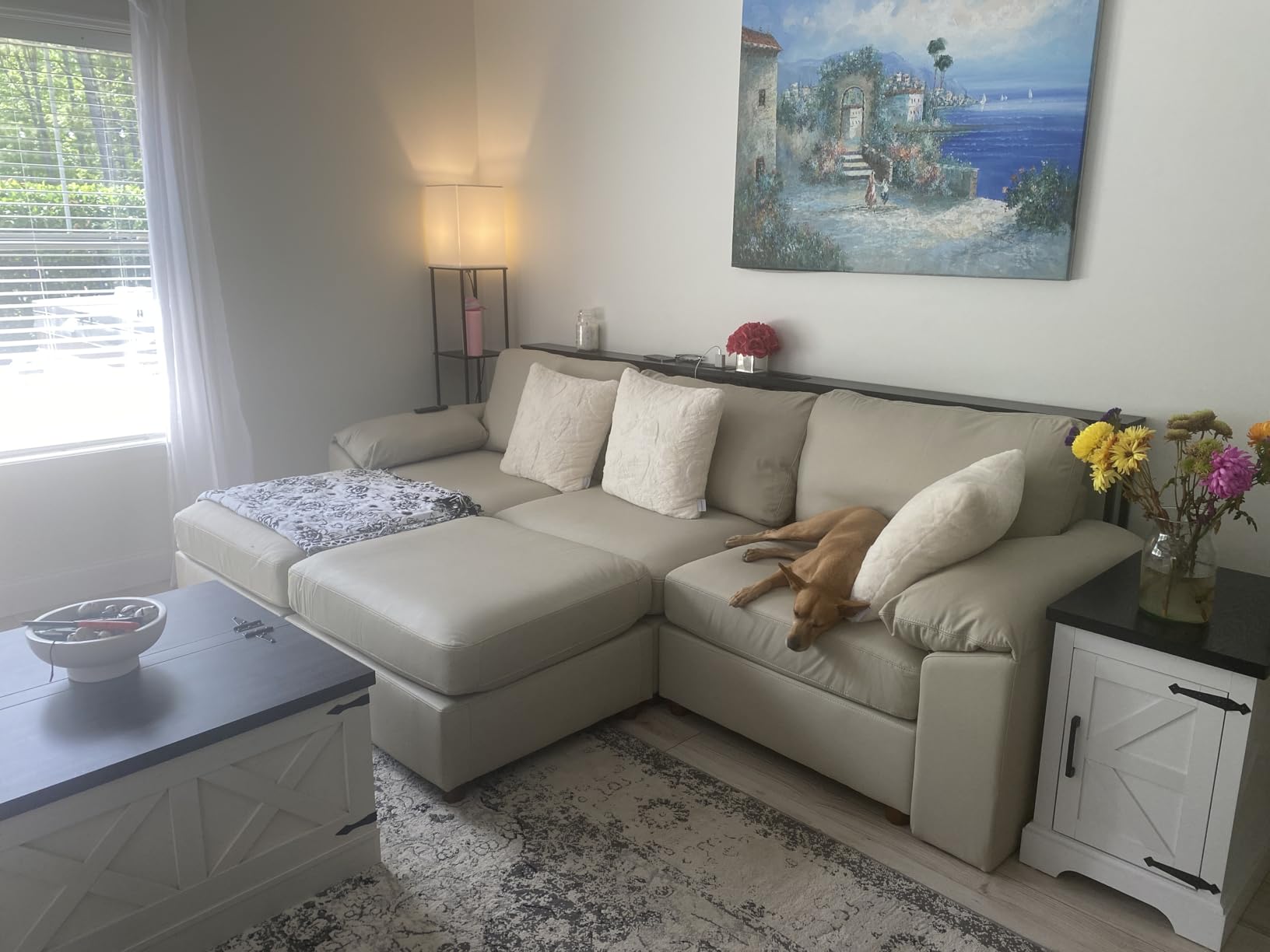 EASE MOOSE Oversized Modular Sectional Sofa, Leather Sectional Couch with Deep Seat, Extra Large U Shaped Couch, Faux Leather Material Sofa Modern Comfy Scratch Resistant, Beige customer photo 2