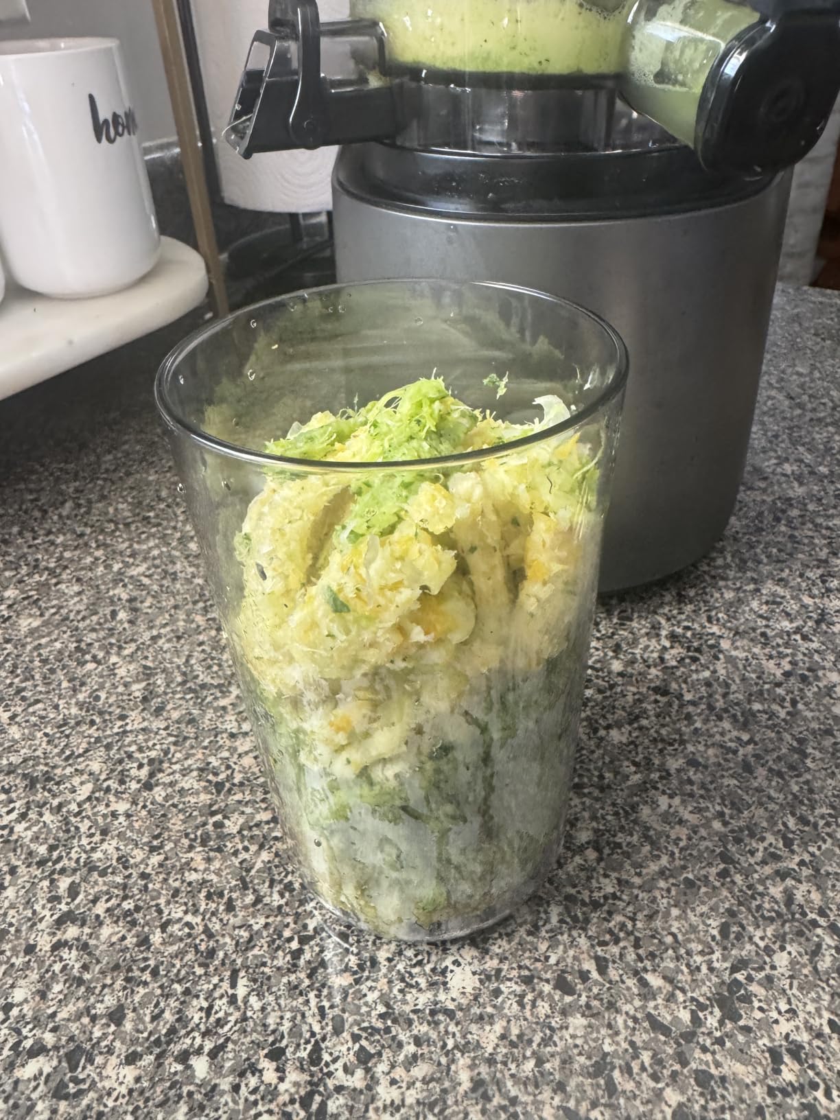 Canoly C16 Cold Press Juicer, 6