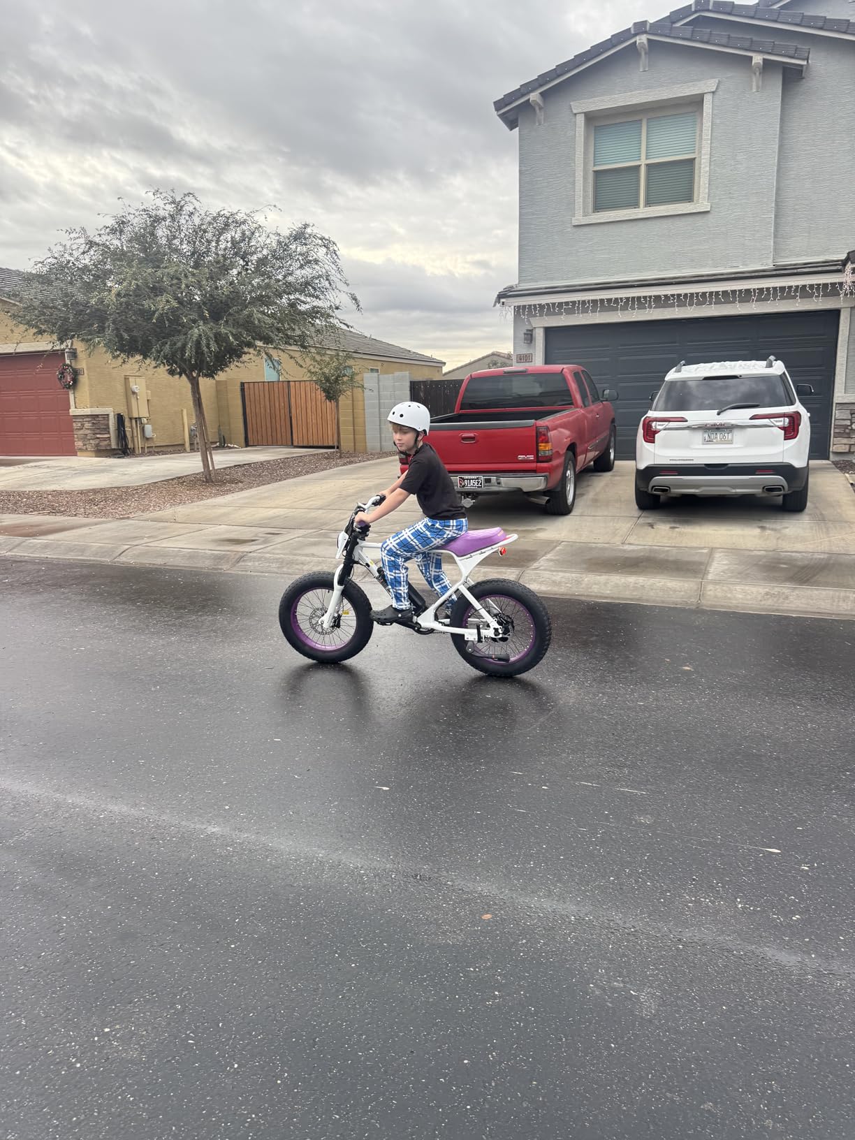 X1S 2026 Ebikes for Adults, 750W Electric Bike Wheelie 20 MPH Max Speed, 28-56 Miles Range(PAS1), 20