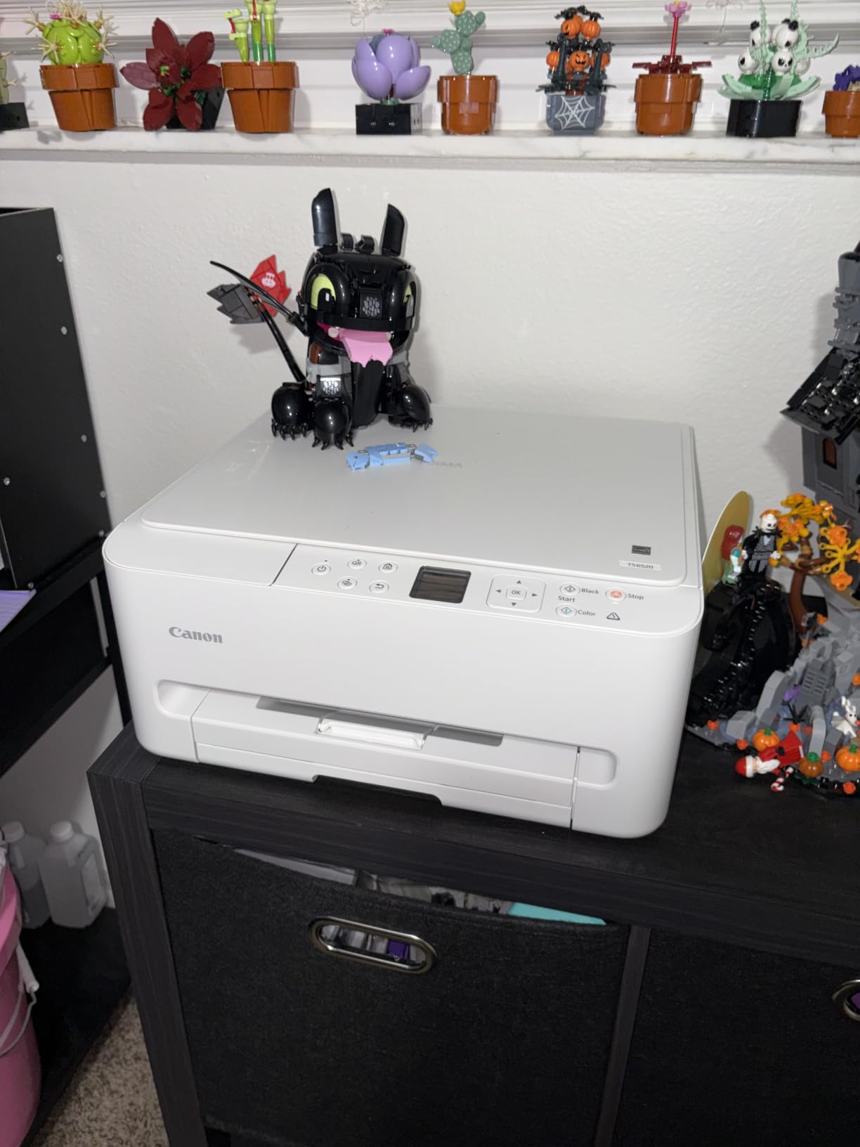 Canon PIXMA TS6520 Wireless Color Inkjet Printer Duplex Printing, White customer photo 2