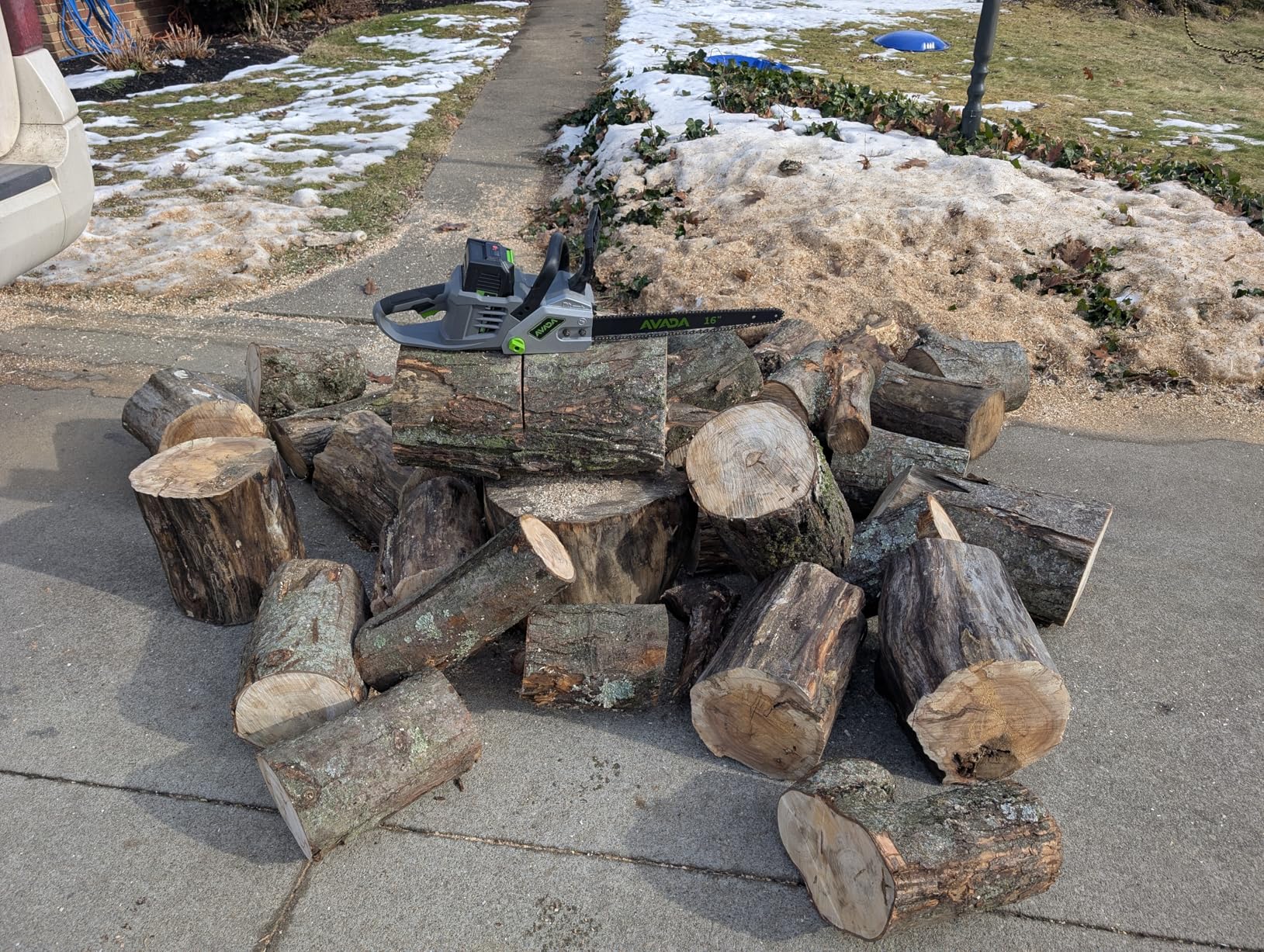 Electric Chainsaw Cordless, 42V 16 Inch Battery Chainsaw with Brushless Motor and Quiet Superior Cutting Power, Hand Battery Powered chainsaw for Tree Trimming Wood Cutting, 2 Battery and Charger customer photo 2