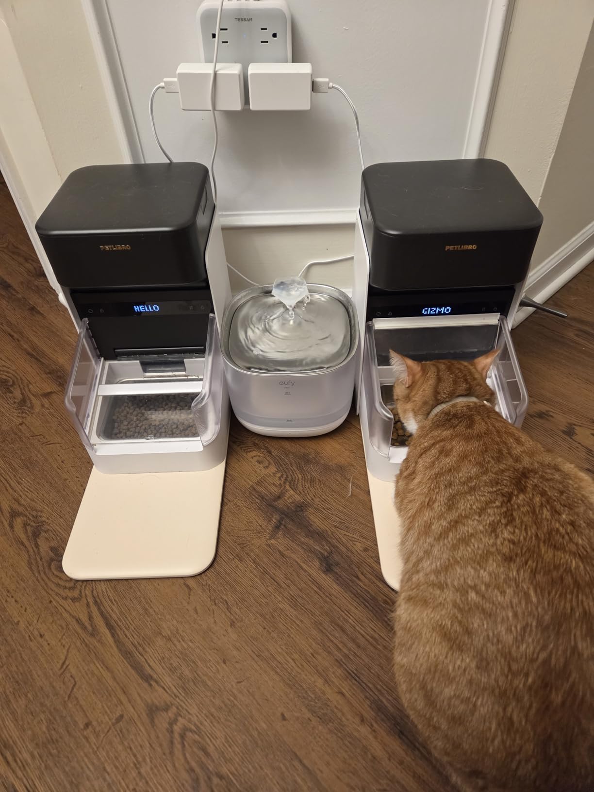 PETLIBRO RFID Automatic Cat Feeder, Collar Sensor for Personalized Meals, Cats Recognition, Diet Tracking and Anti-Stealing for Multi-Pets Homes and Different Diets, Wi-Fi Programmable Food Dispenser customer photo 2